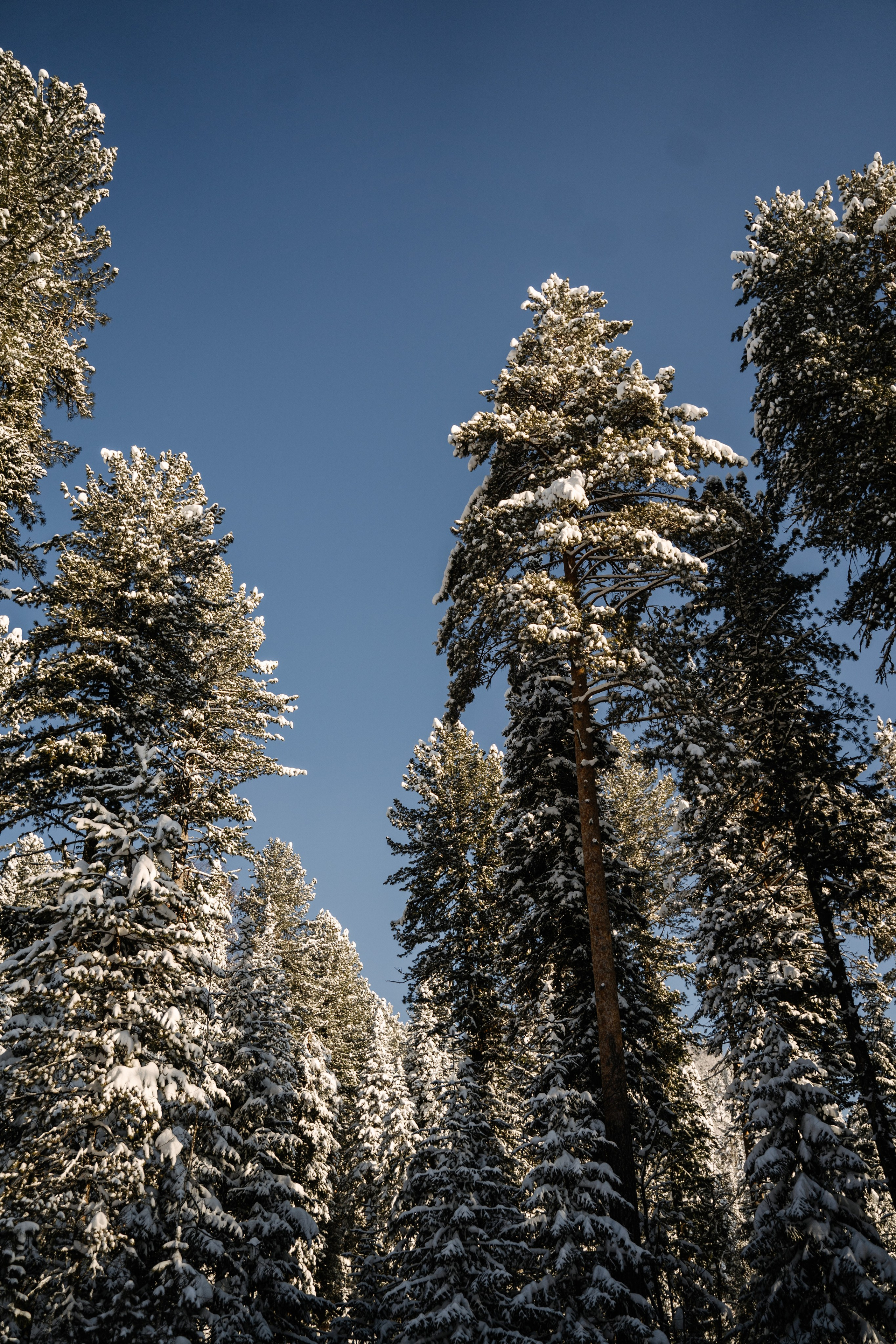 Отели. Фотограф Ольга Пучкова