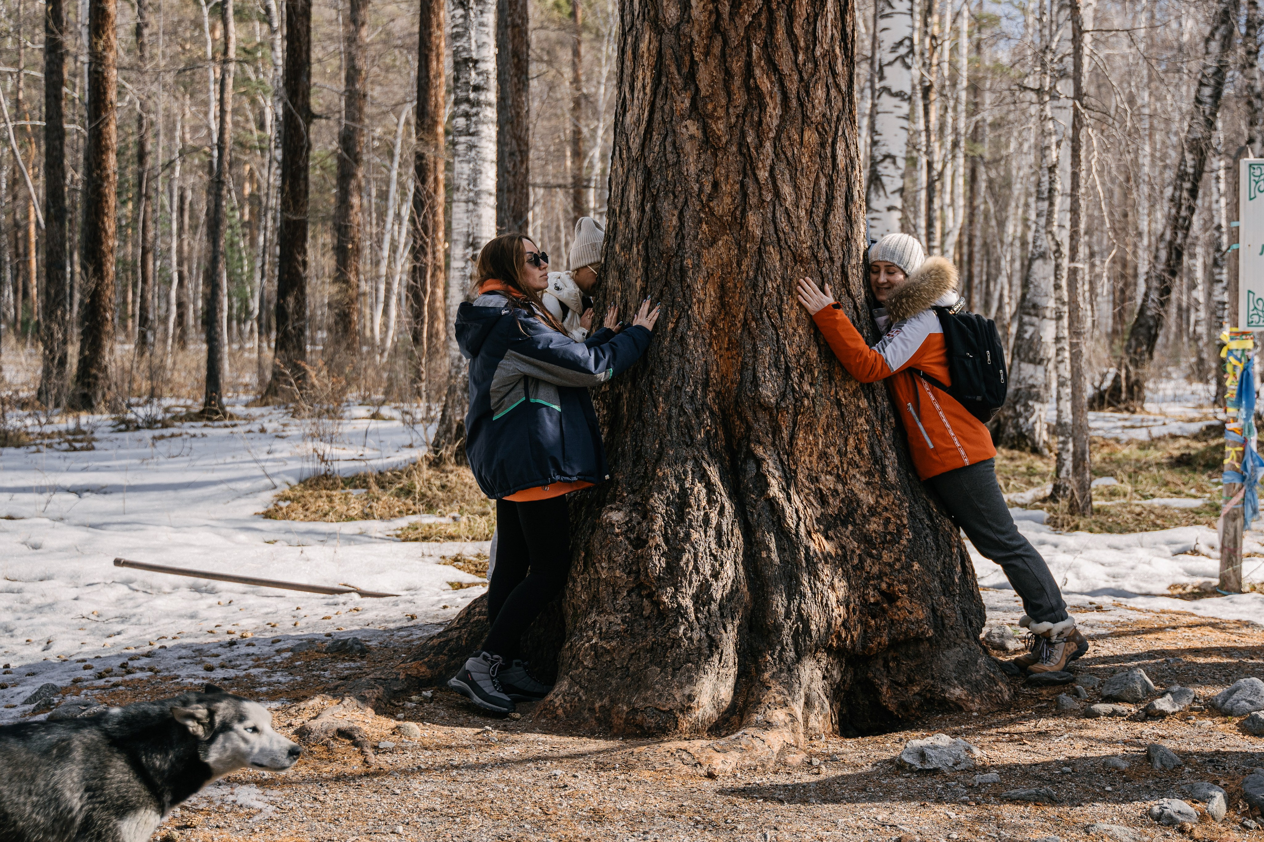 Бурятия, Аршан 2024. Фотограф Ольга Пучкова
