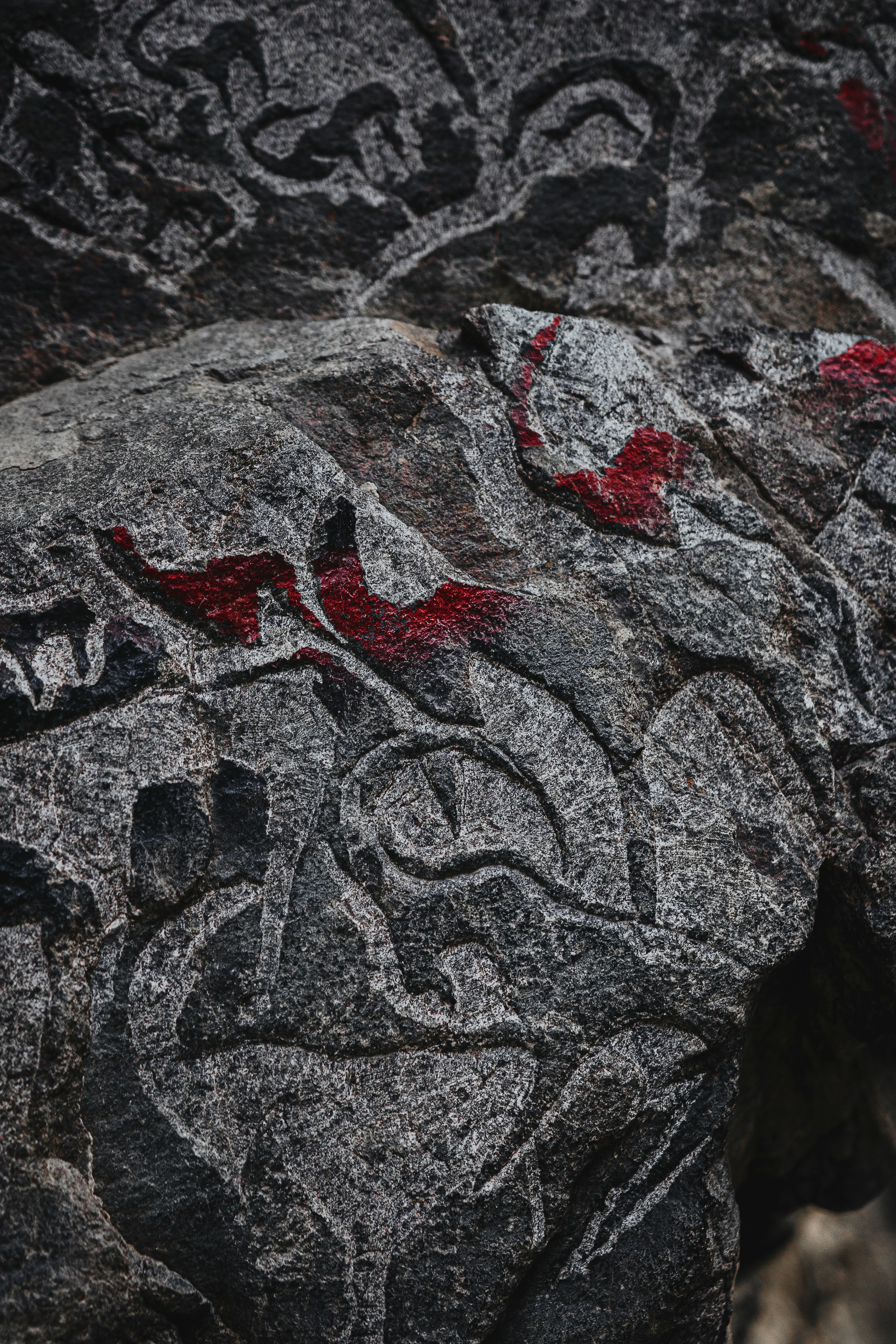 Жизнь. Фотограф Алматы | Весь мир — Никита Колодин