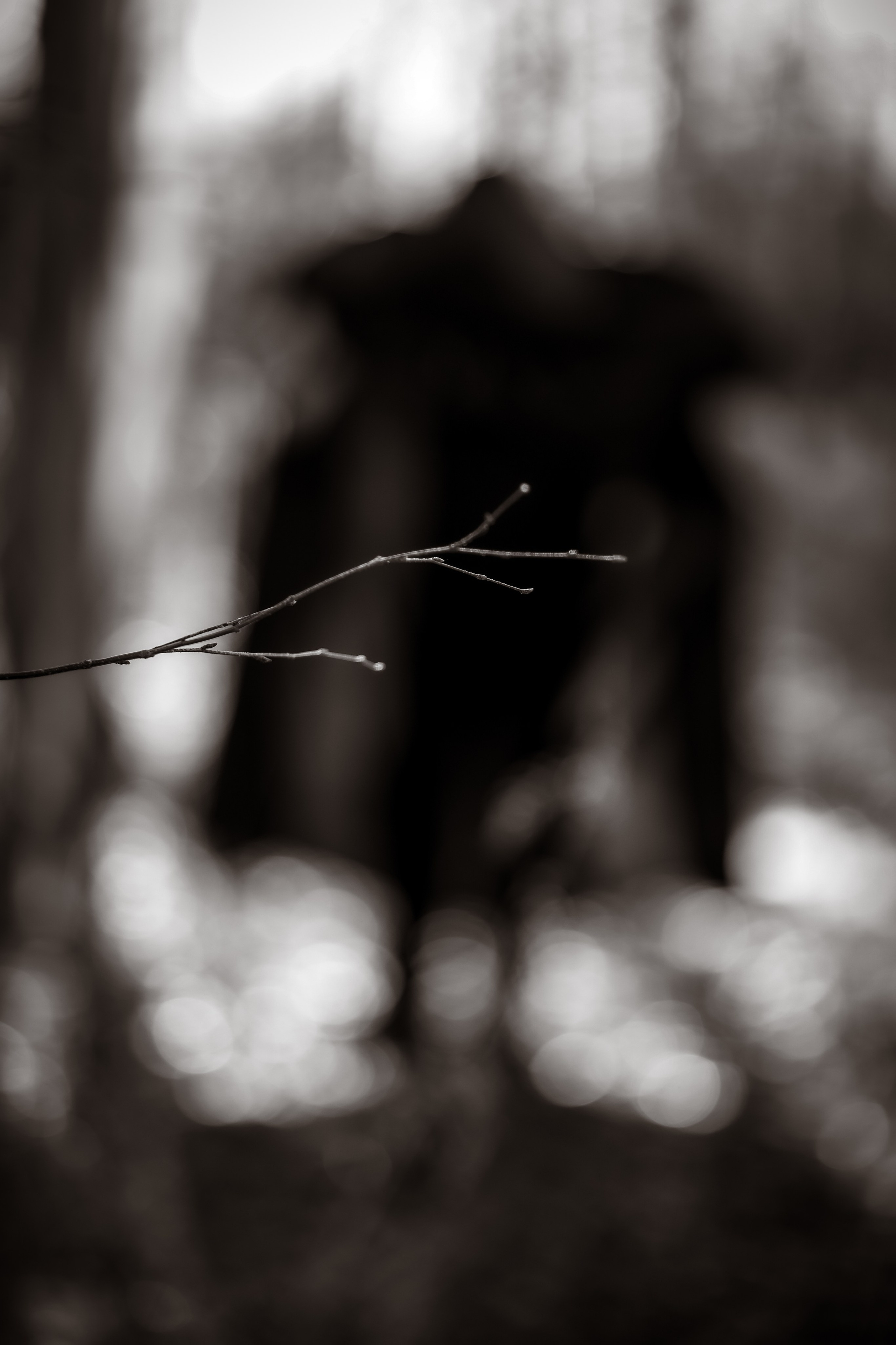 В ожидании Halloween. Art my Pho