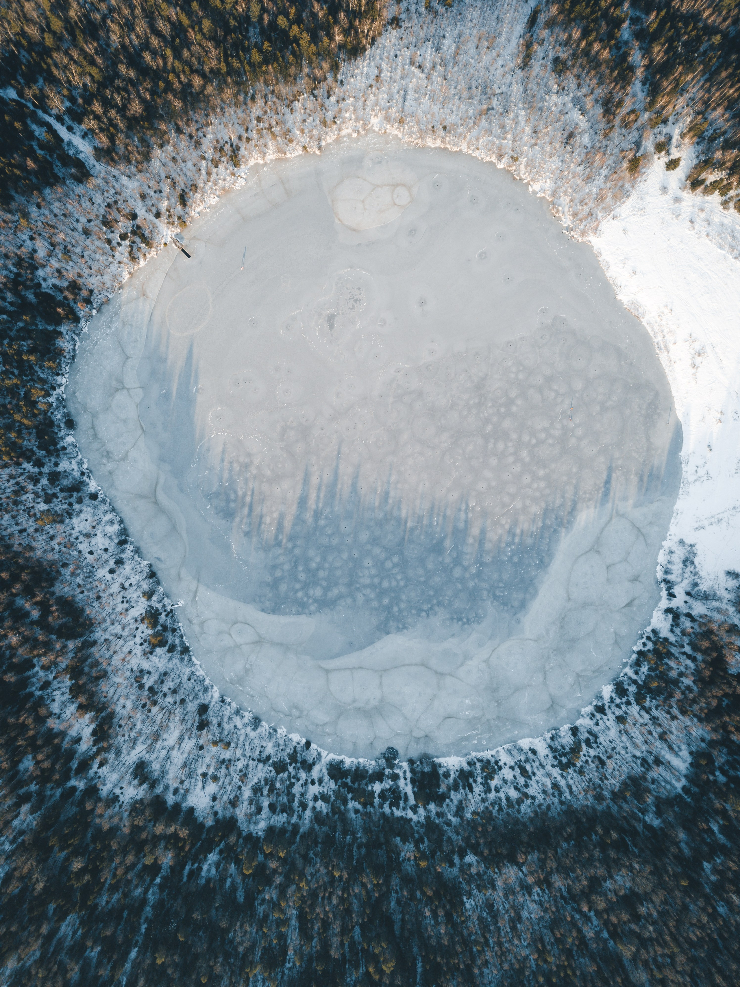 ПРИРОДА. Фотограф Александр Бормотин