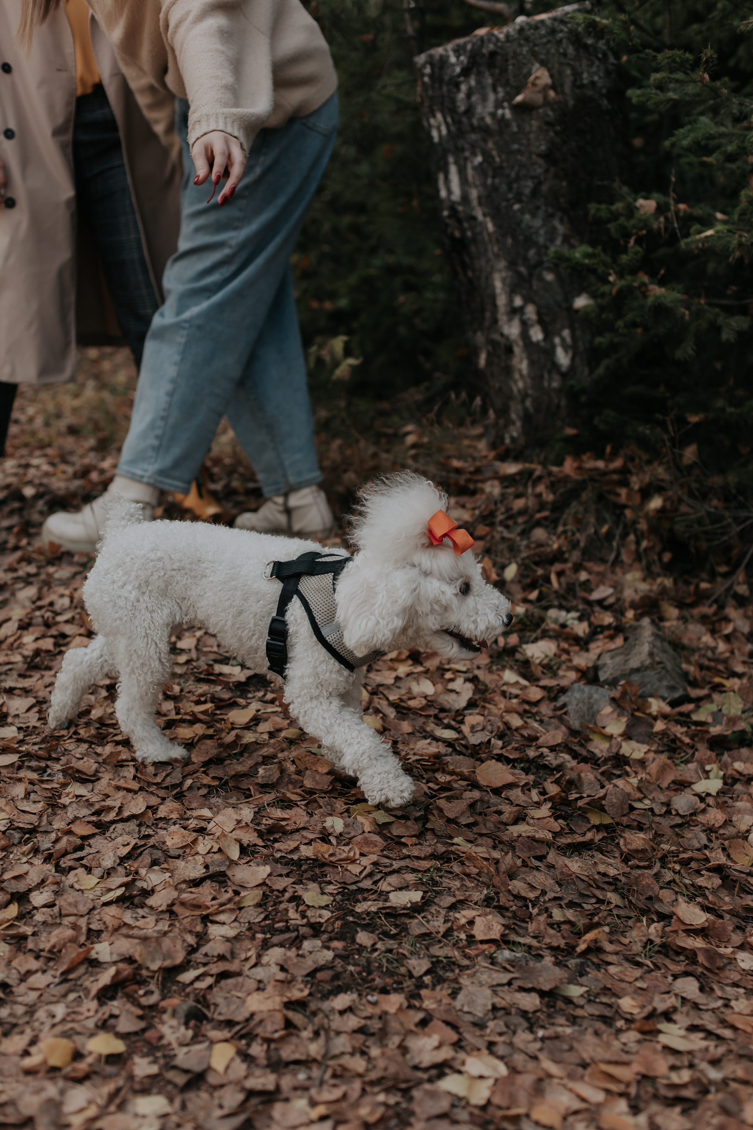 ФОТОСЕССИЯ В ЛЕСУ. Фотограф в Киселёвске Татьяна Трухалева