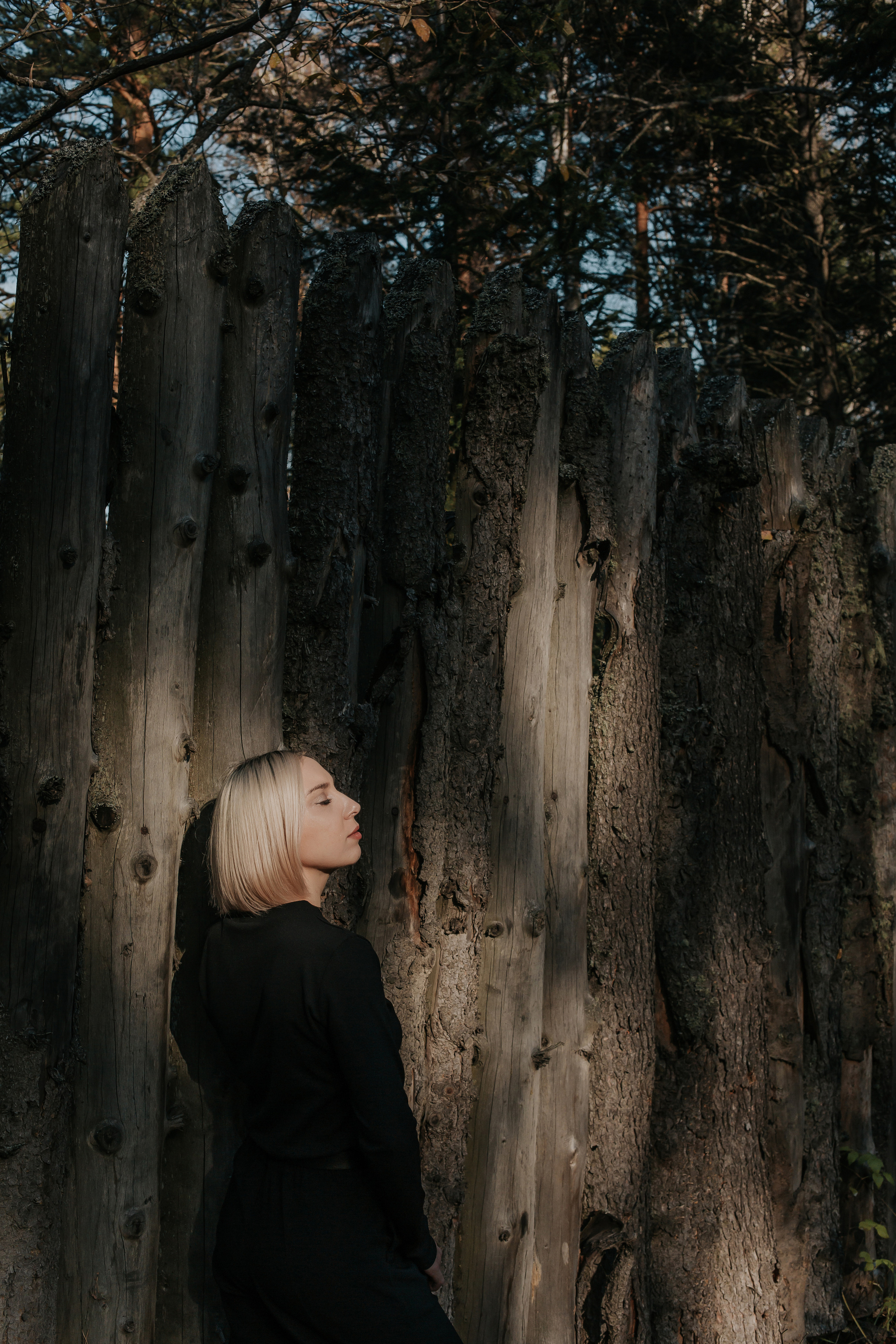 ФОТО-ПРОГУЛКА В ЛЕСУ. Фотограф в Киселёвске Татьяна Трухалева