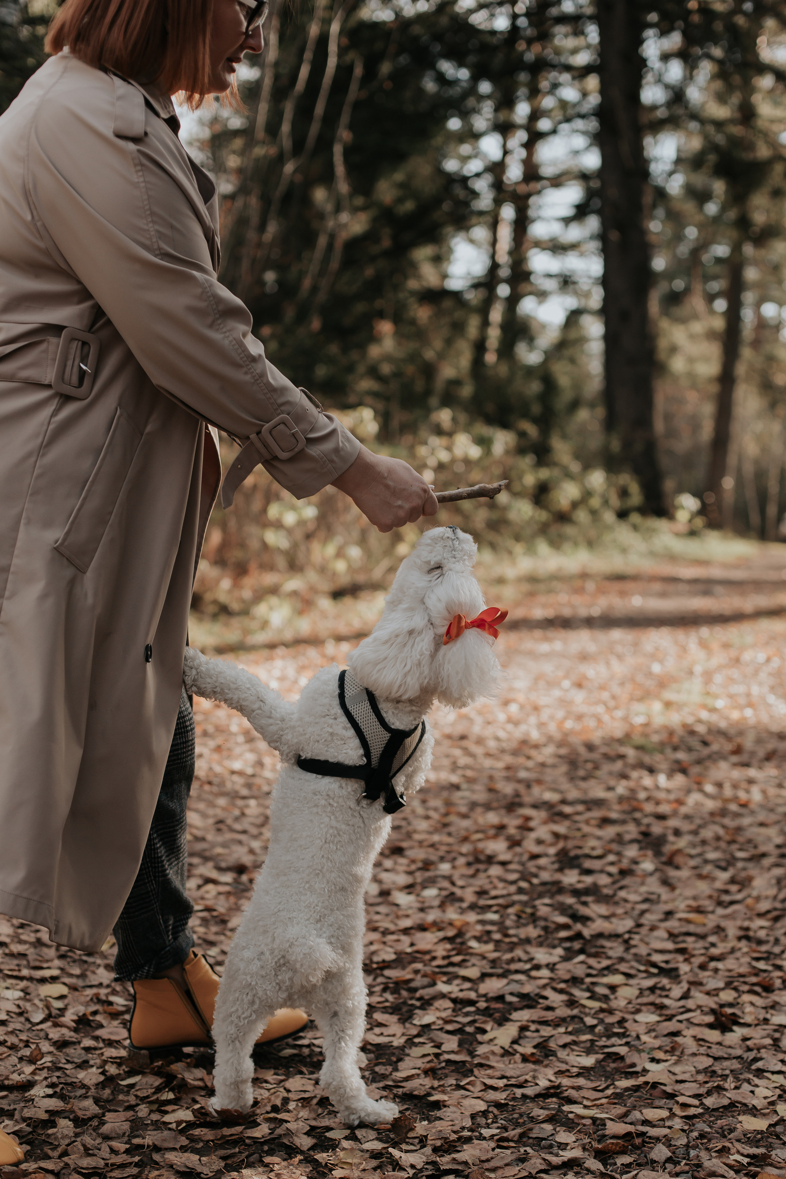 ФОТОСЕССИЯ В ЛЕСУ. Фотограф в Киселёвске Татьяна Трухалева
