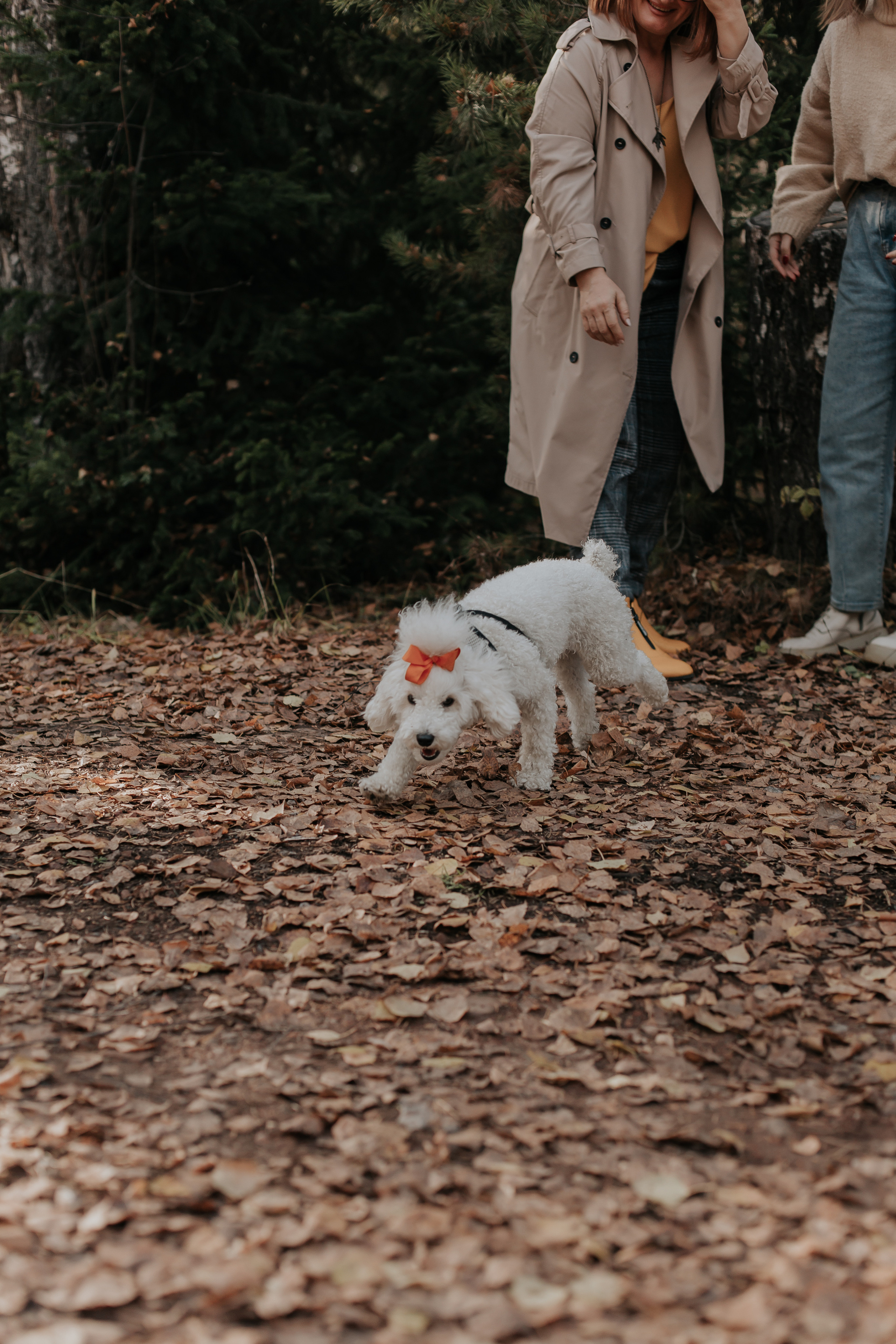 ФОТОСЕССИЯ В ЛЕСУ. Фотограф в Киселёвске Татьяна Трухалева