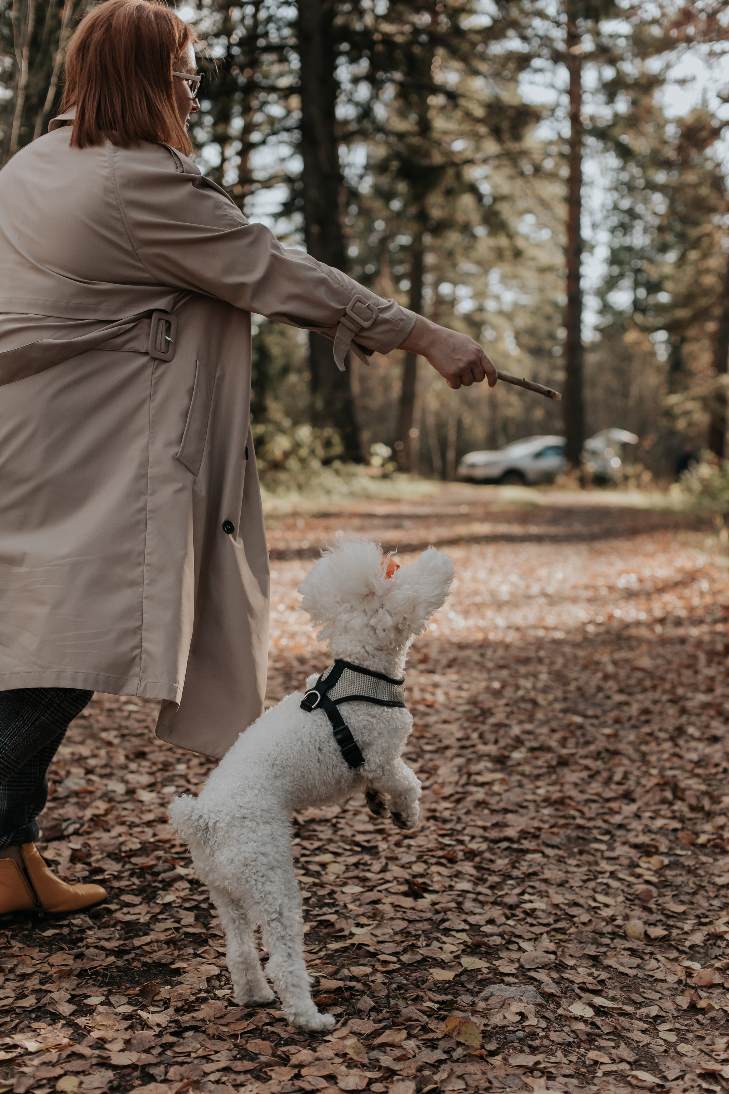 ФОТОСЕССИЯ В ЛЕСУ. Фотограф в Киселёвске Татьяна Трухалева