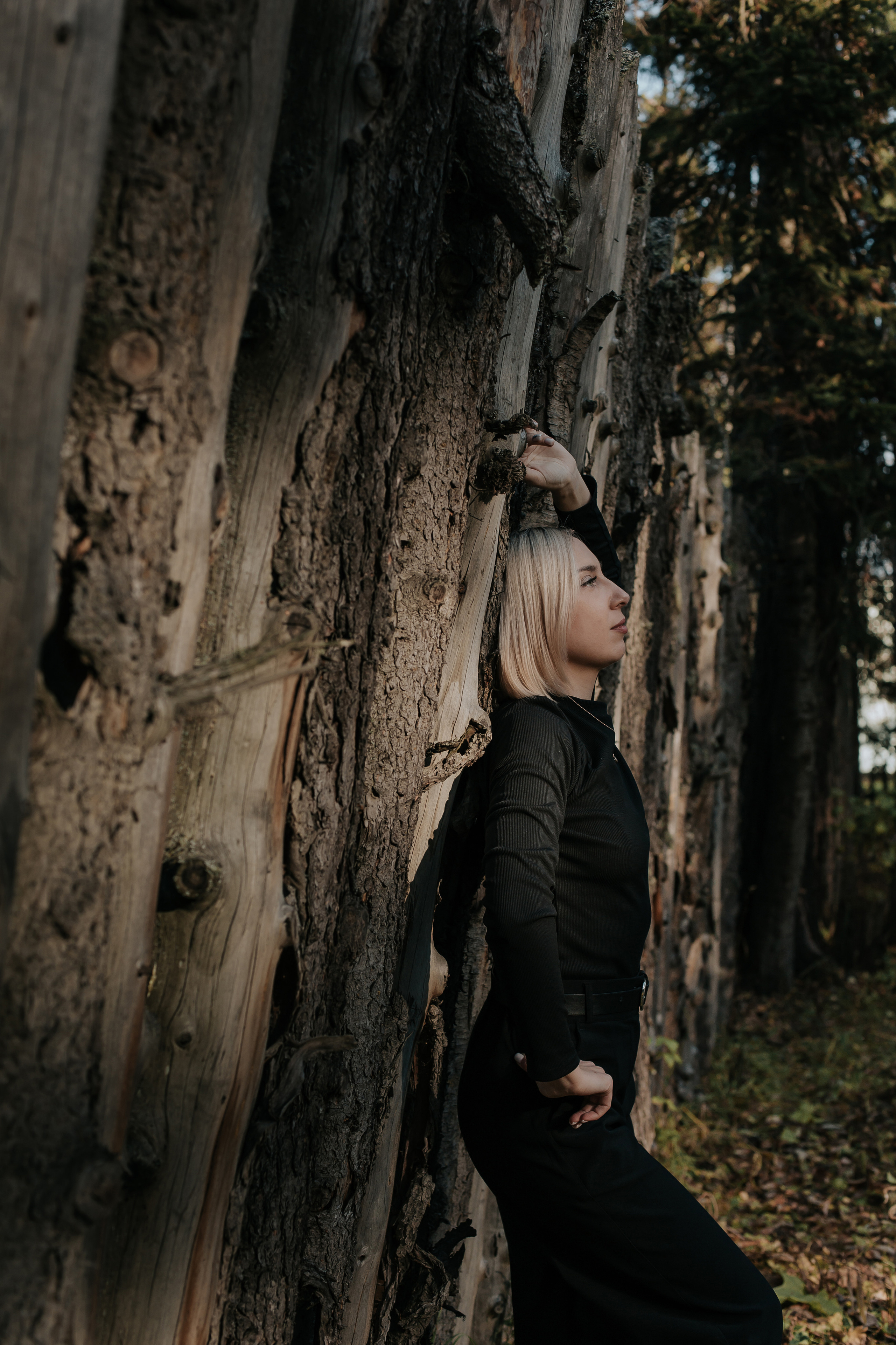 ФОТО-ПРОГУЛКА В ЛЕСУ. Фотограф в Киселёвске Татьяна Трухалева