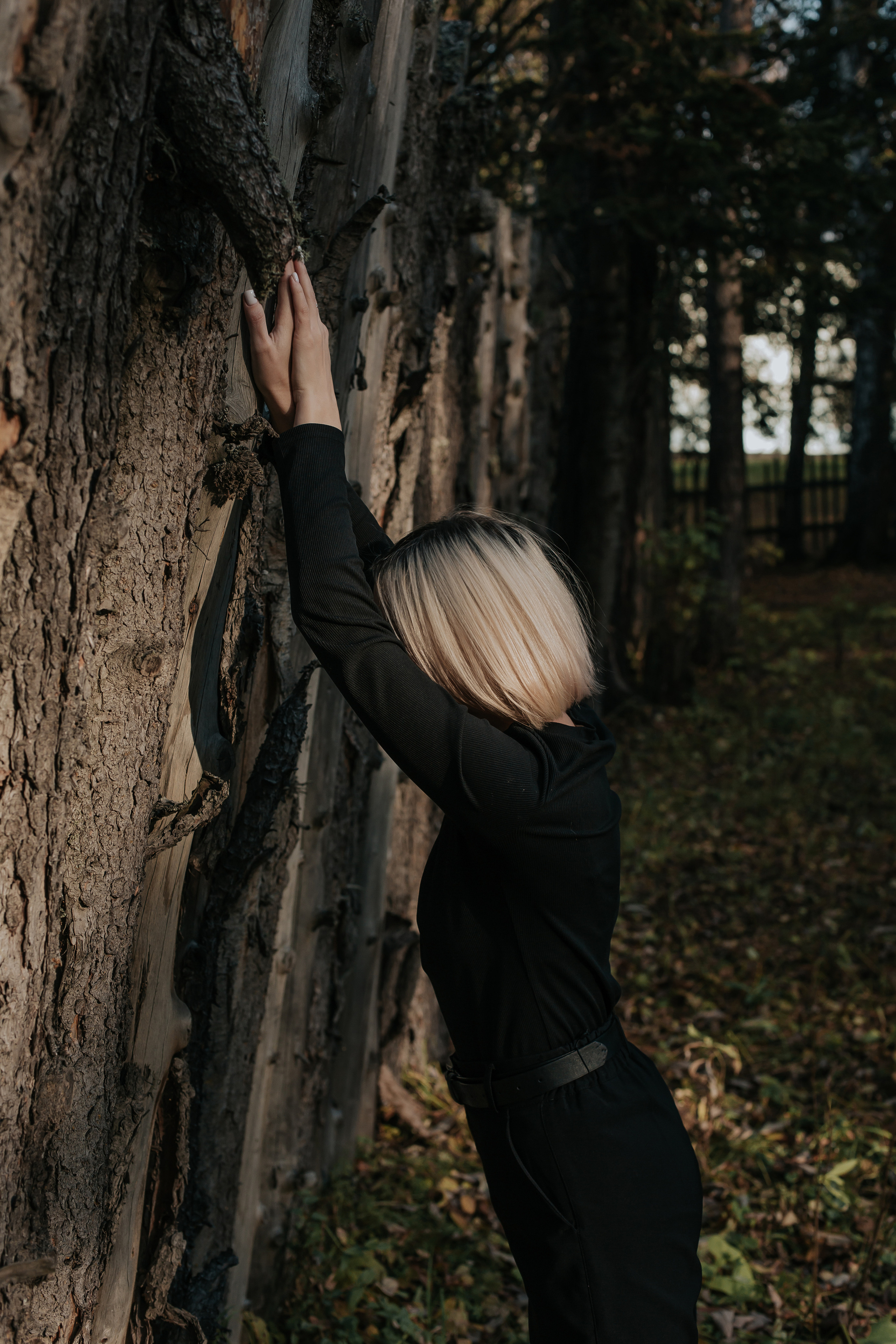 ФОТО-ПРОГУЛКА В ЛЕСУ. Фотограф в Киселёвске Татьяна Трухалева