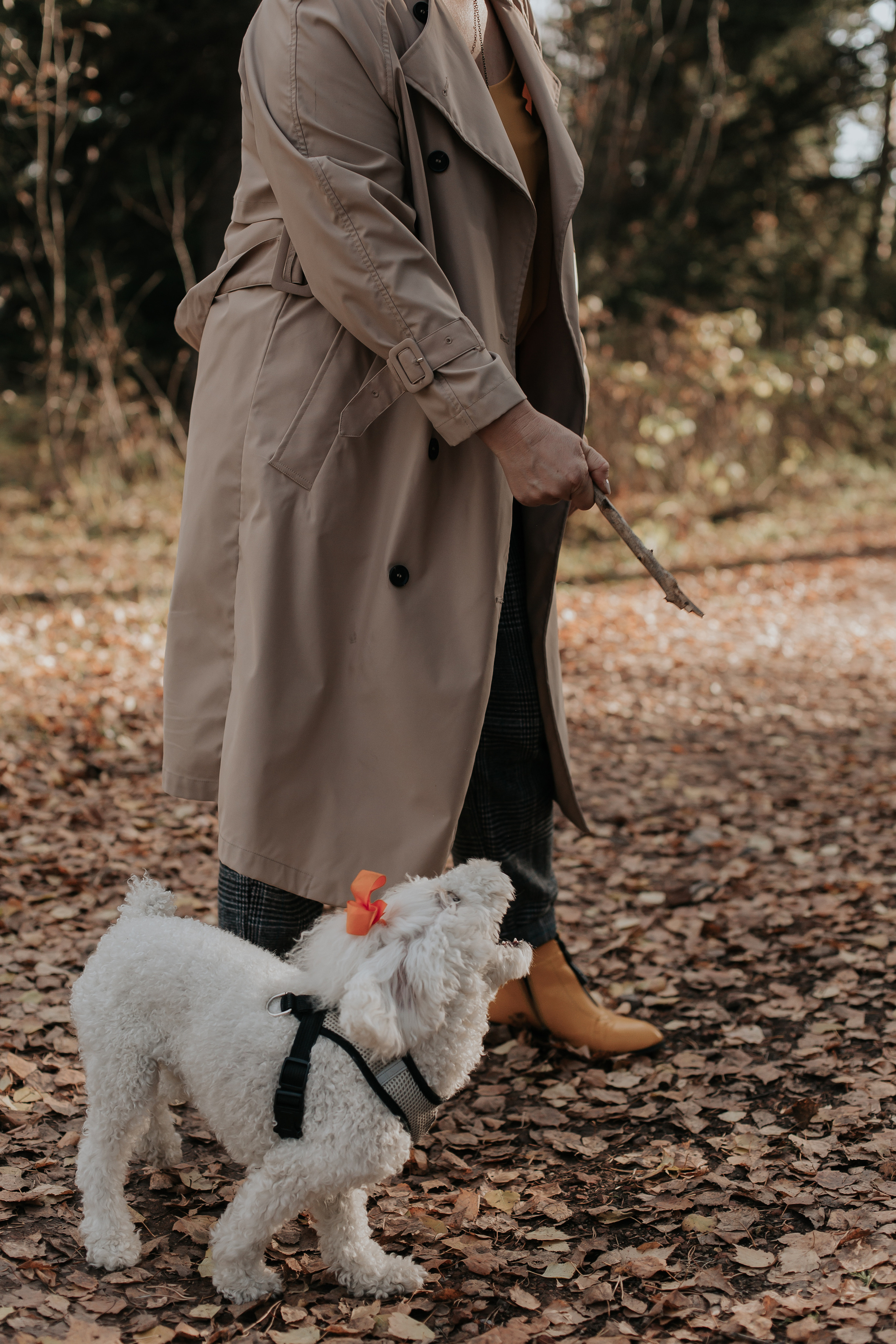 ФОТОСЕССИЯ В ЛЕСУ. Фотограф в Киселёвске Татьяна Трухалева