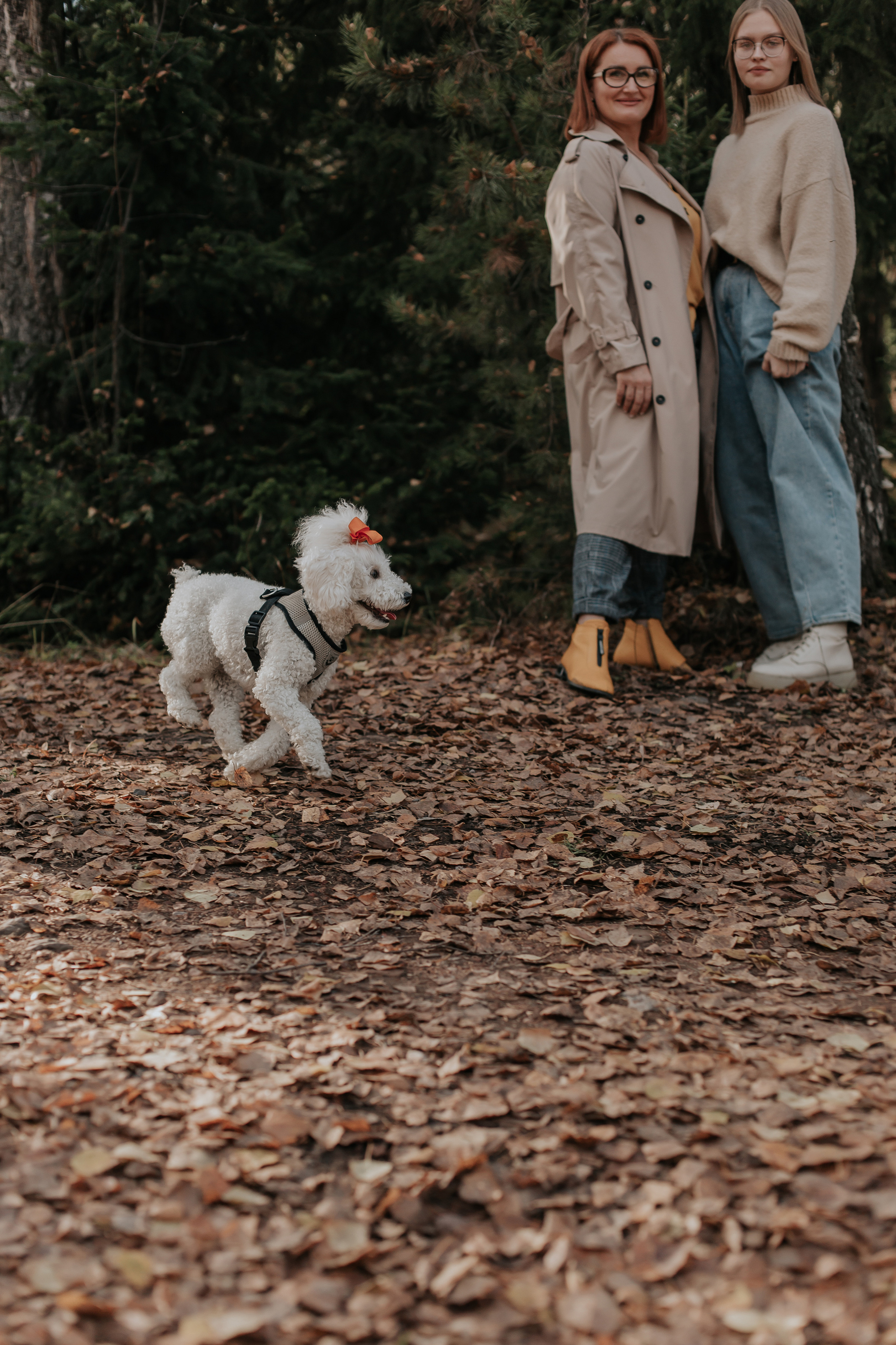 ФОТОСЕССИЯ В ЛЕСУ. Фотограф в Киселёвске Татьяна Трухалева