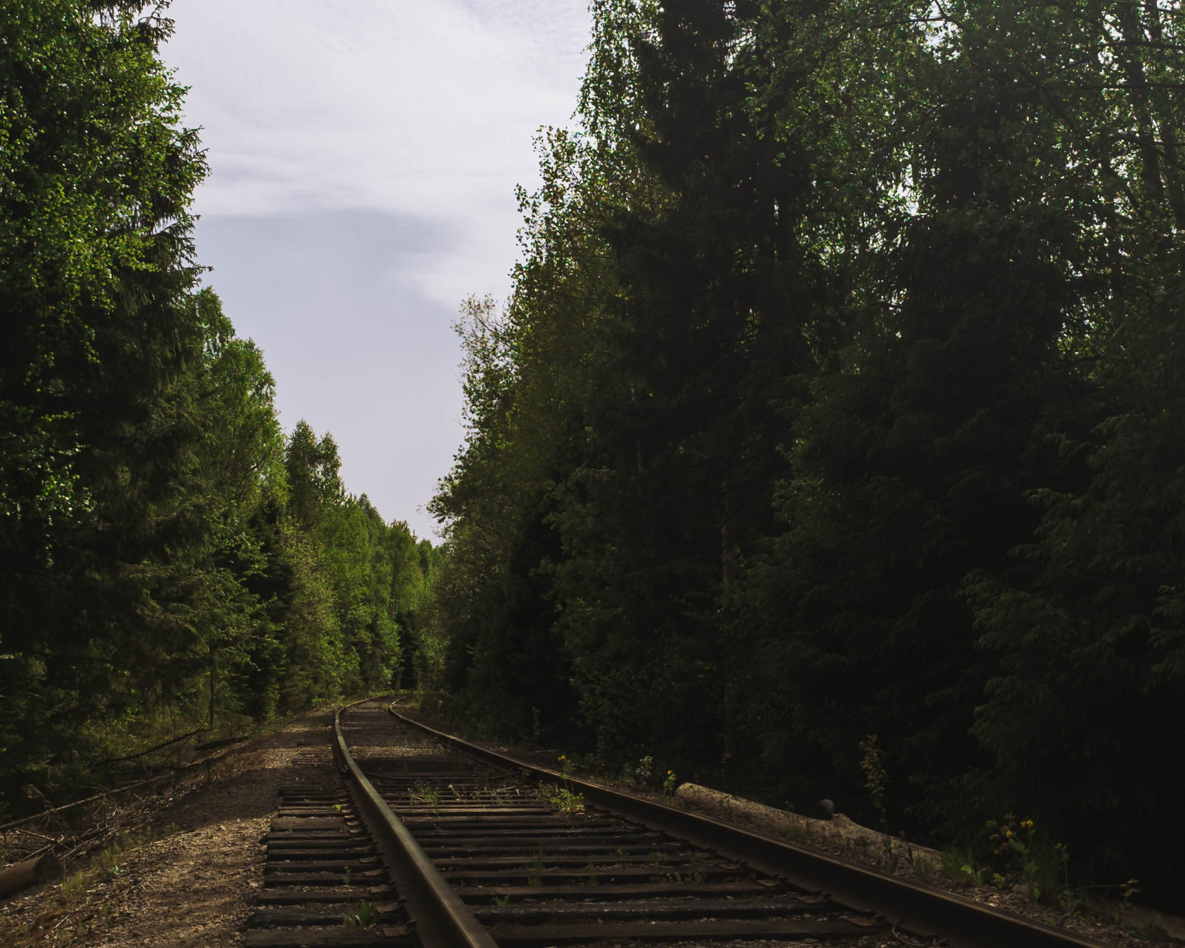 Эстетика железной дороги. Олег Романов. Мастер фото по спорту
