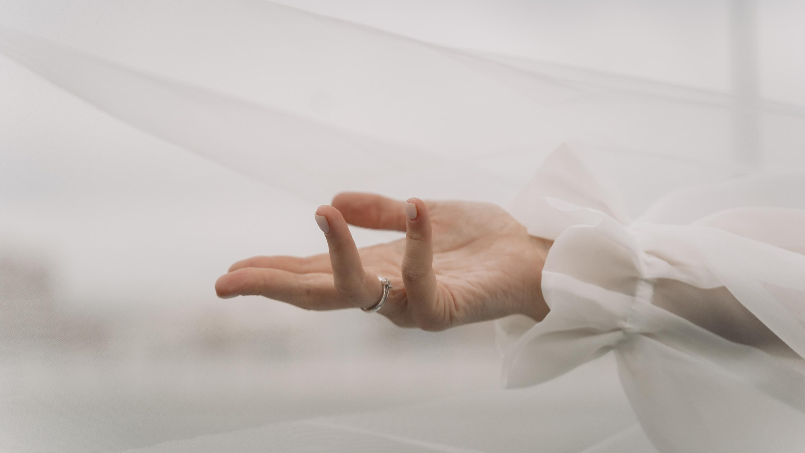 Игорь и Полина. Видеографы K-Creation