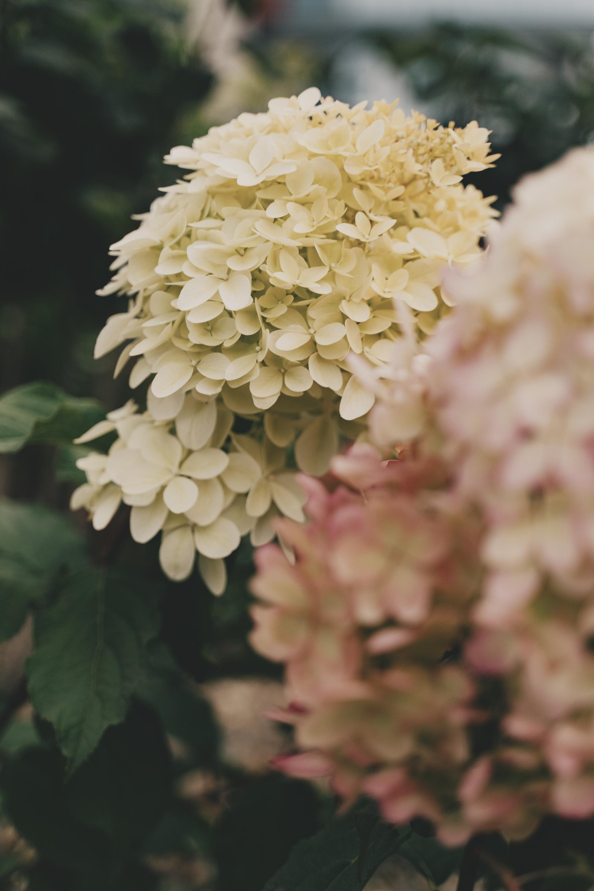 Игорь и Полина. Видеографы K-Creation