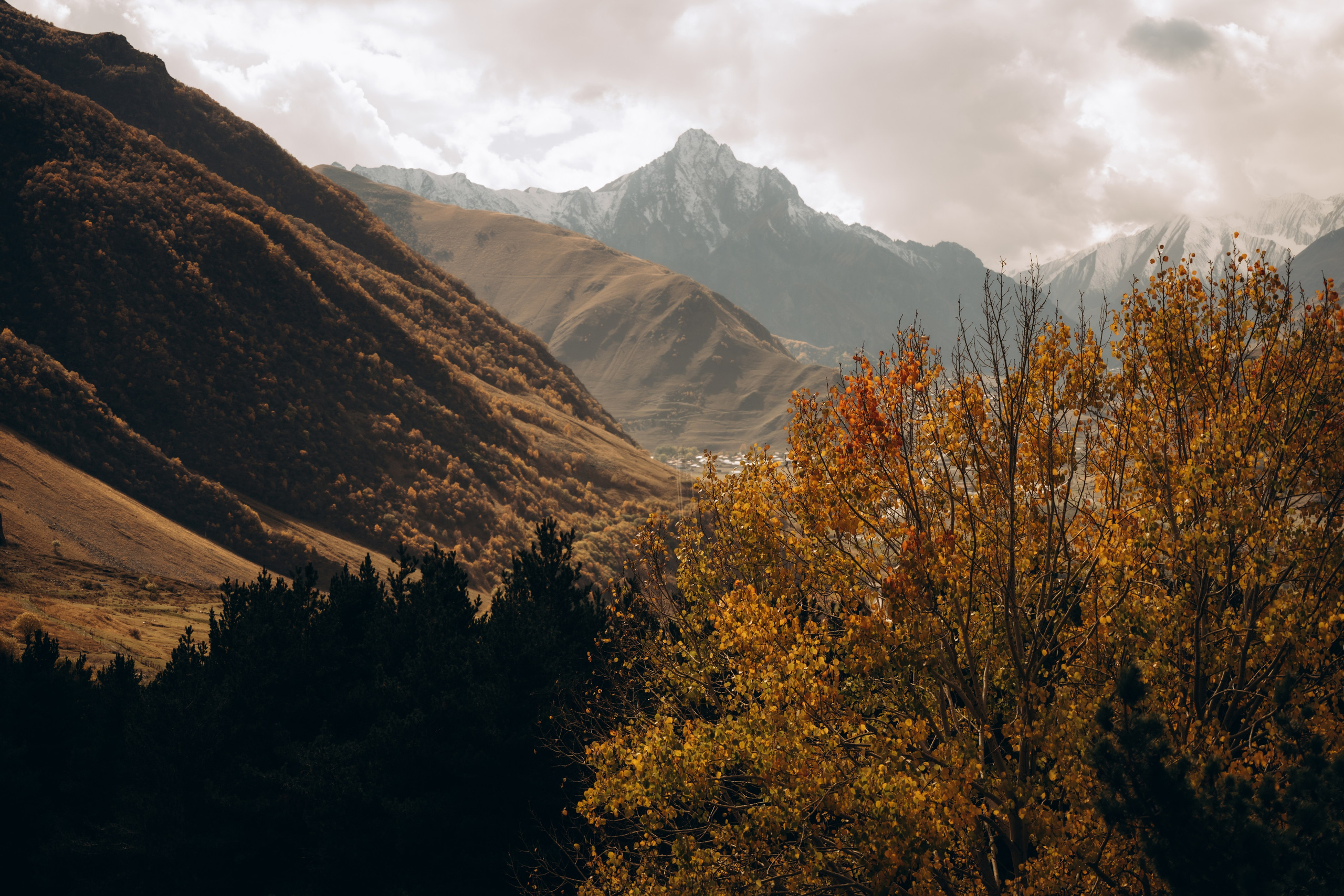 Грузия. Фотограф в Минске — Мария Миллс