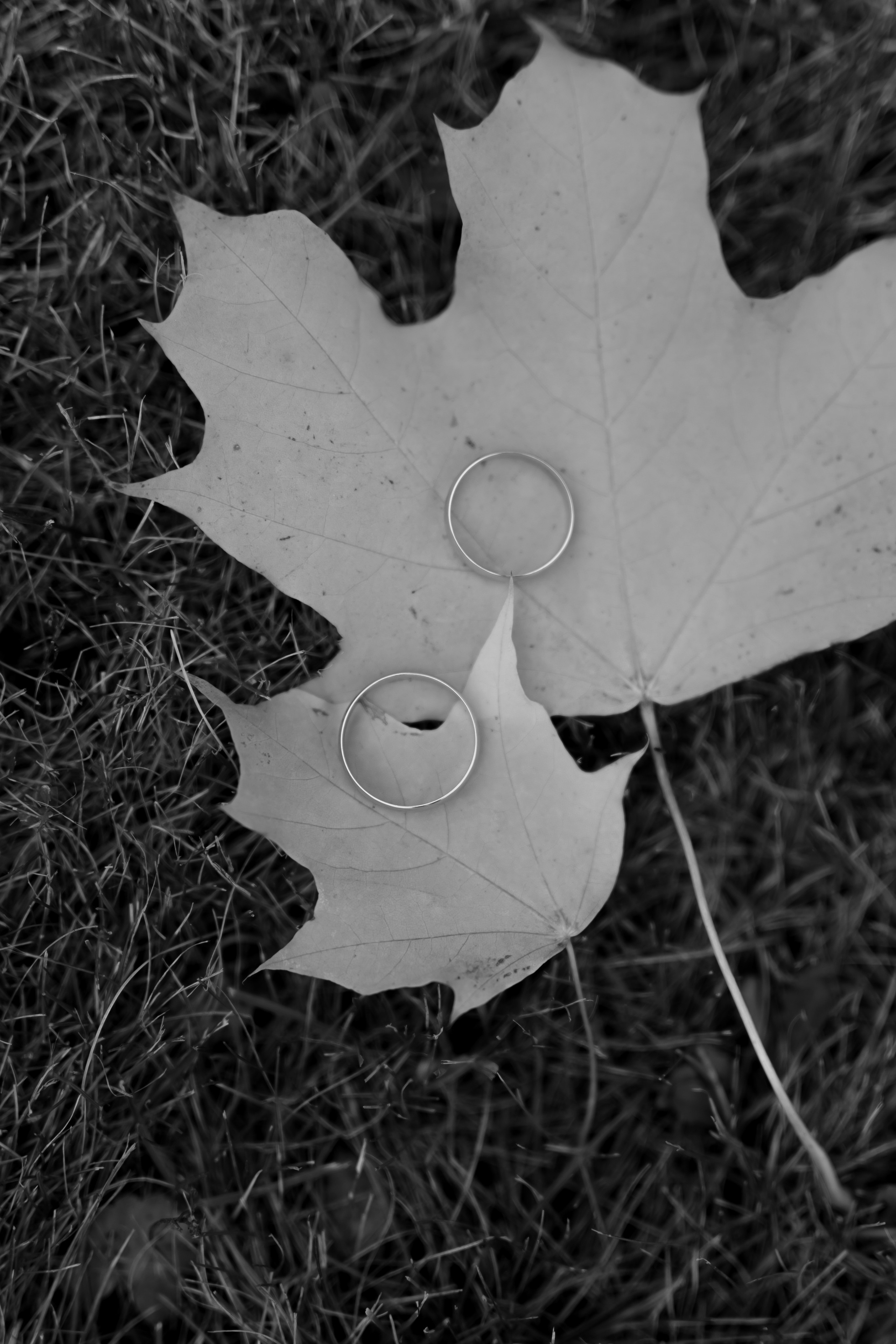 Свадьба Даниила и Виктории. Фотограф Кольчугино/Владимир/Москва Елизавета Иода