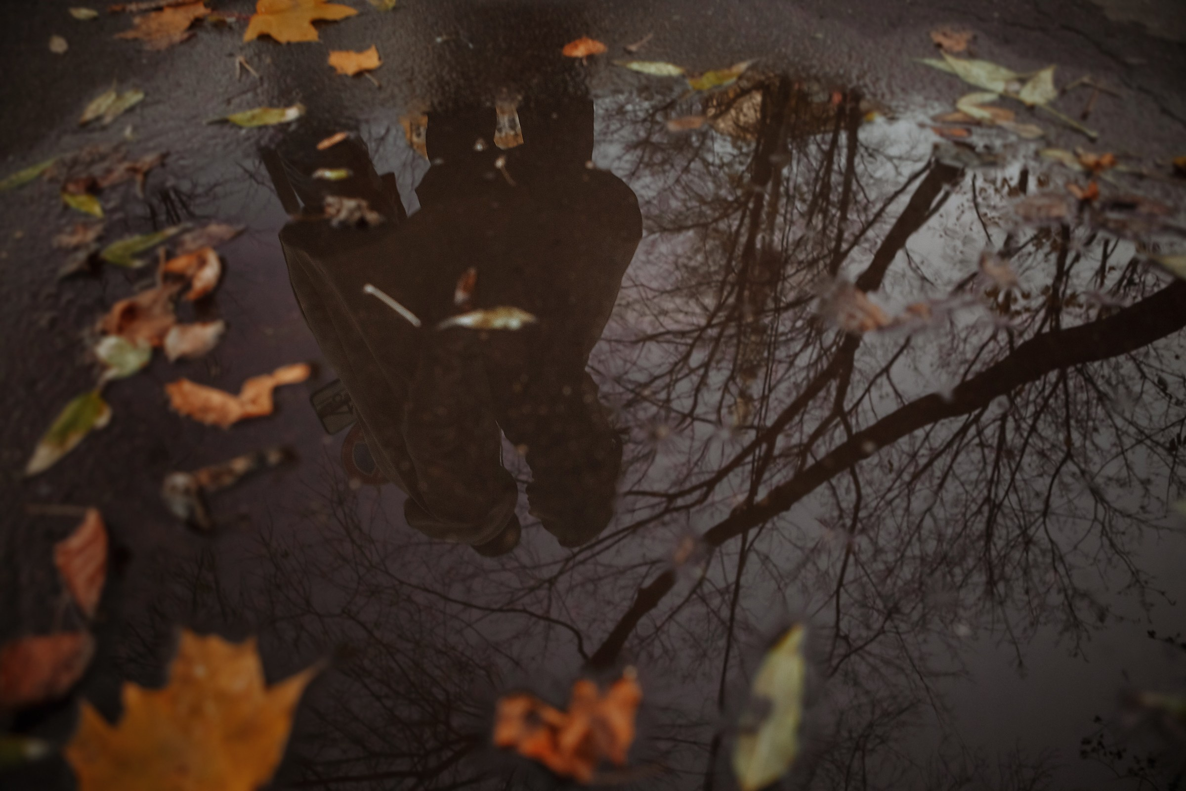 Катя & Тима. Семейный и свадебный фотограф в Москве Леванова Александра