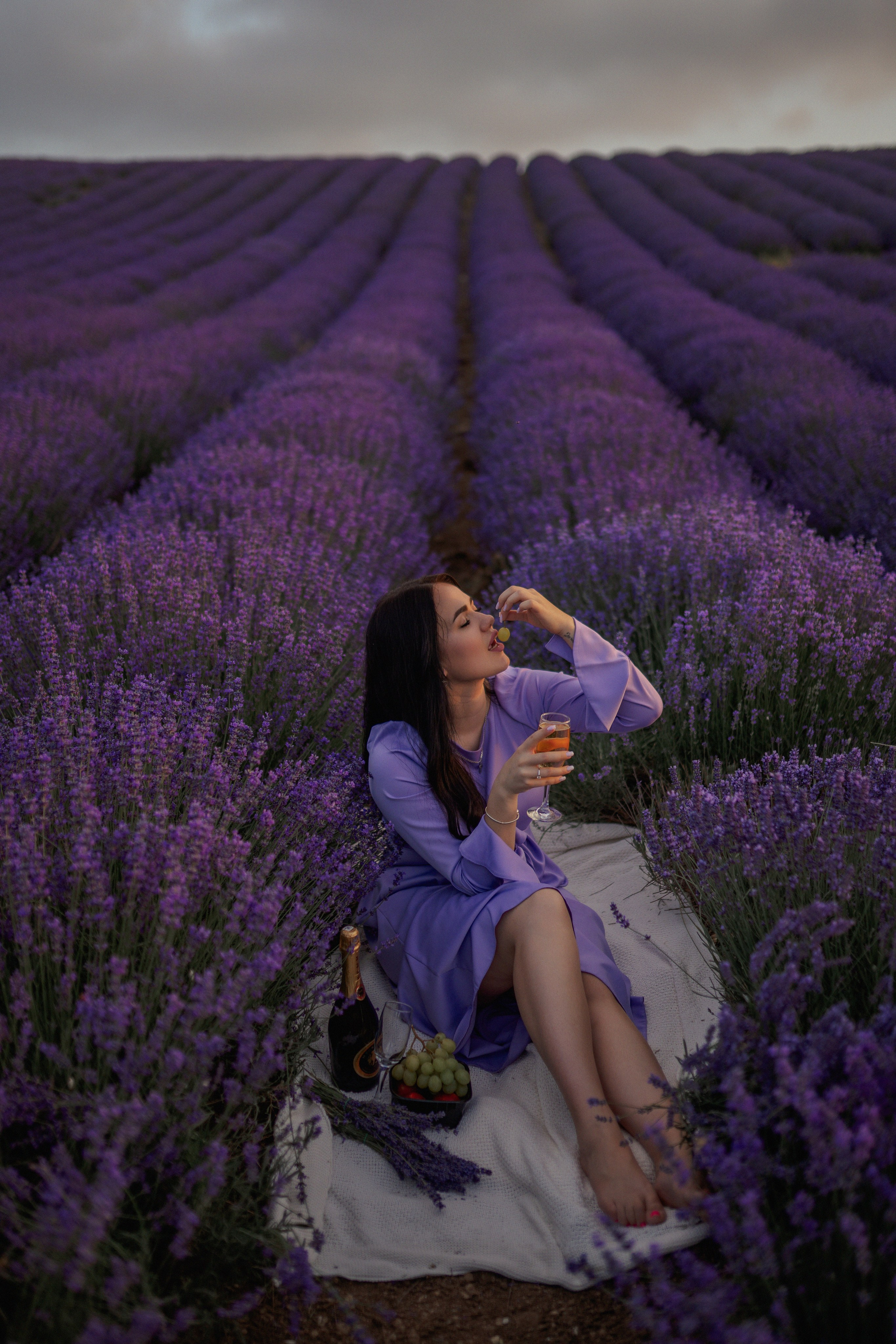 Александра лаванда. Главная