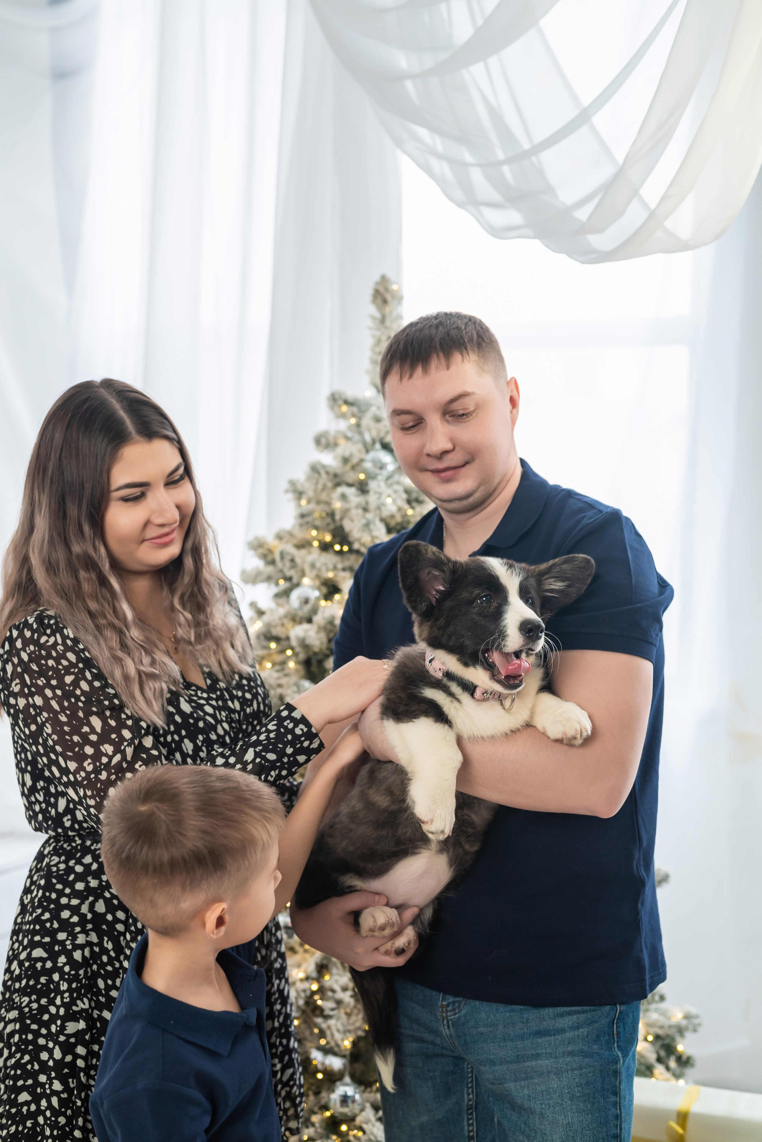 Фотопроект с корги. Фотограф в городе Салават