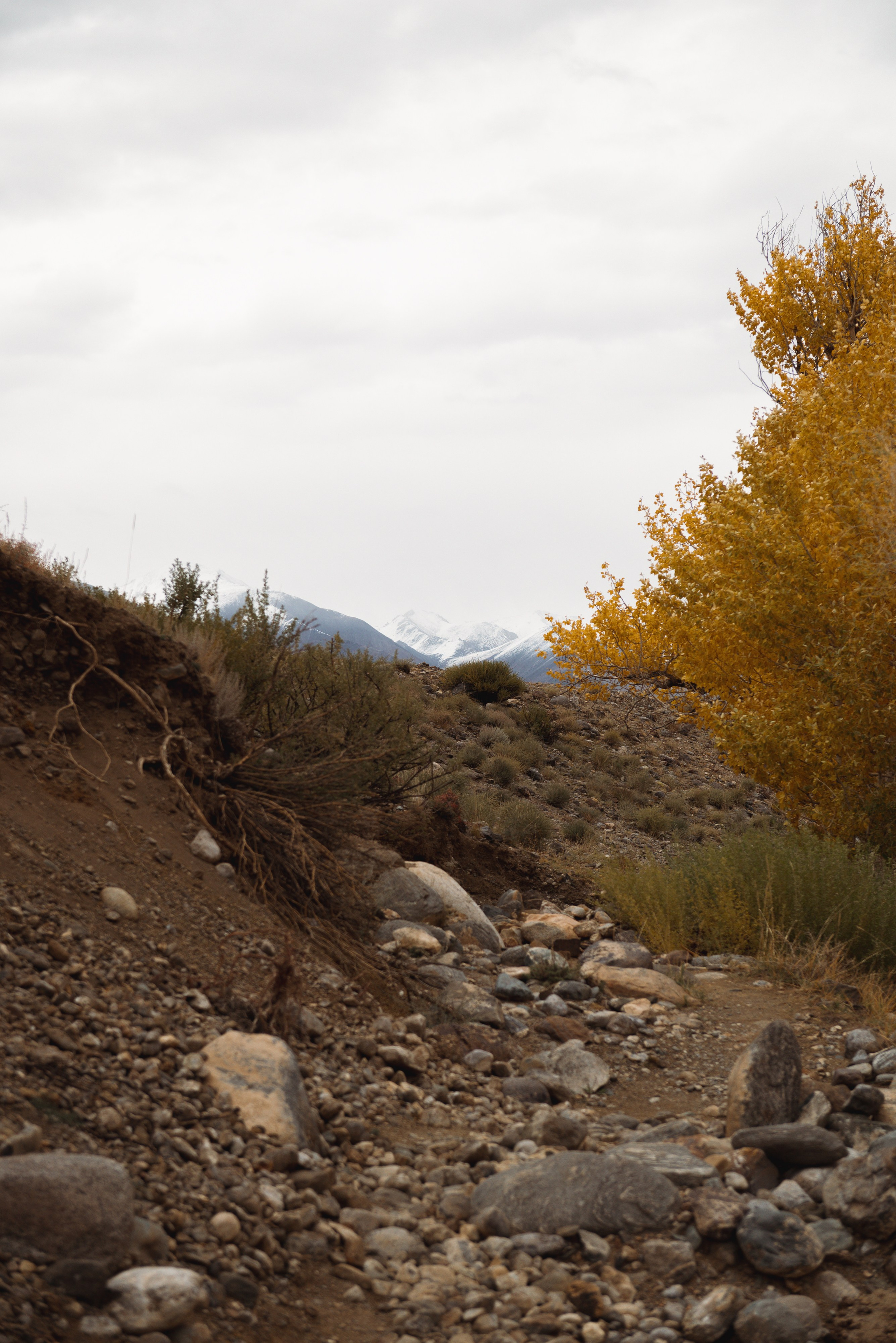 Ретрит по Горному Алтаю. Фотограф Москва Настя Профотовна. Репортажные, свадебные и контент фотосессии