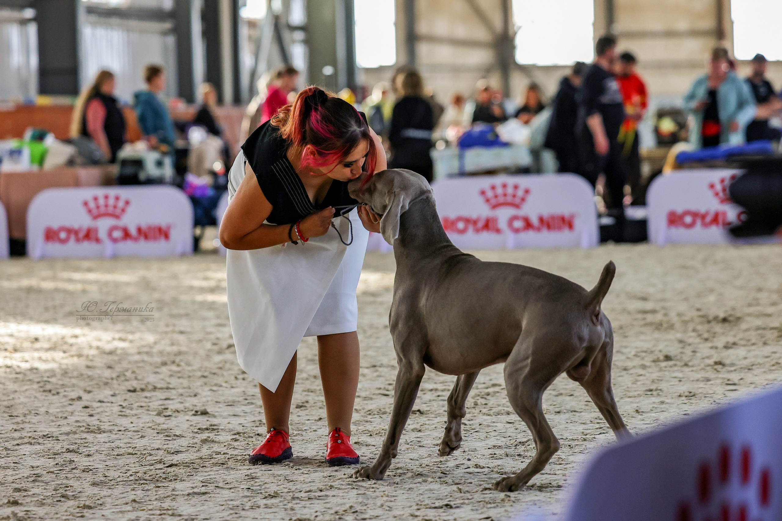 Астана 2хCACIB 26-28.09.2025. Фотограф-анималист Юлия Германика
