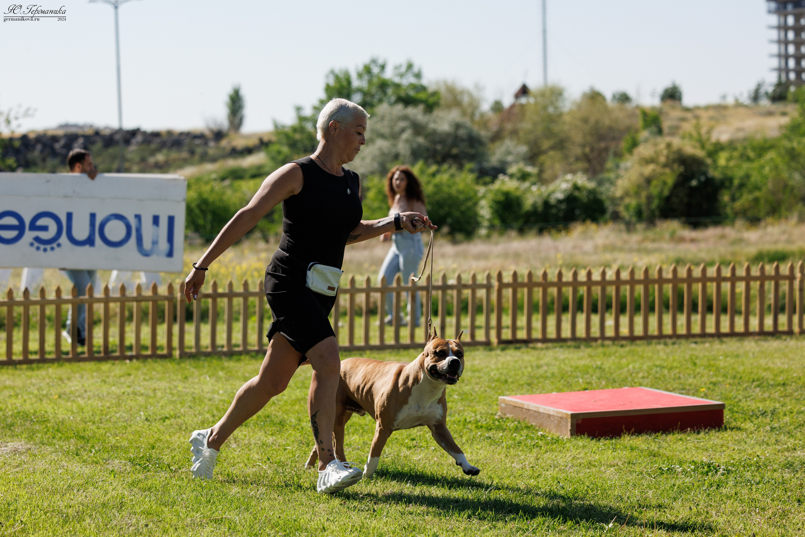 Ереван 3-5.06.2024. Фотограф-анималист Юлия Германика