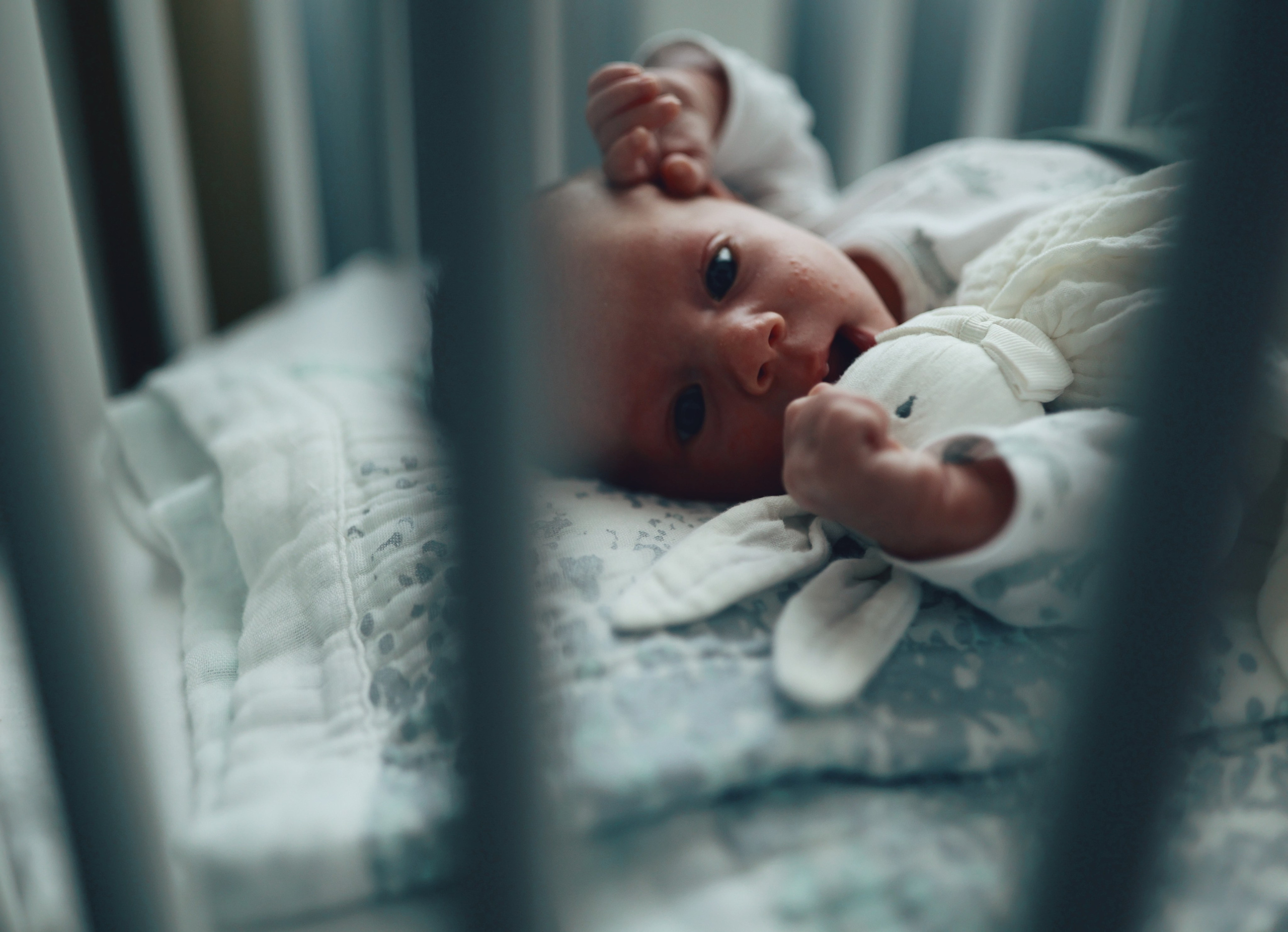 Новорожденные. Главная