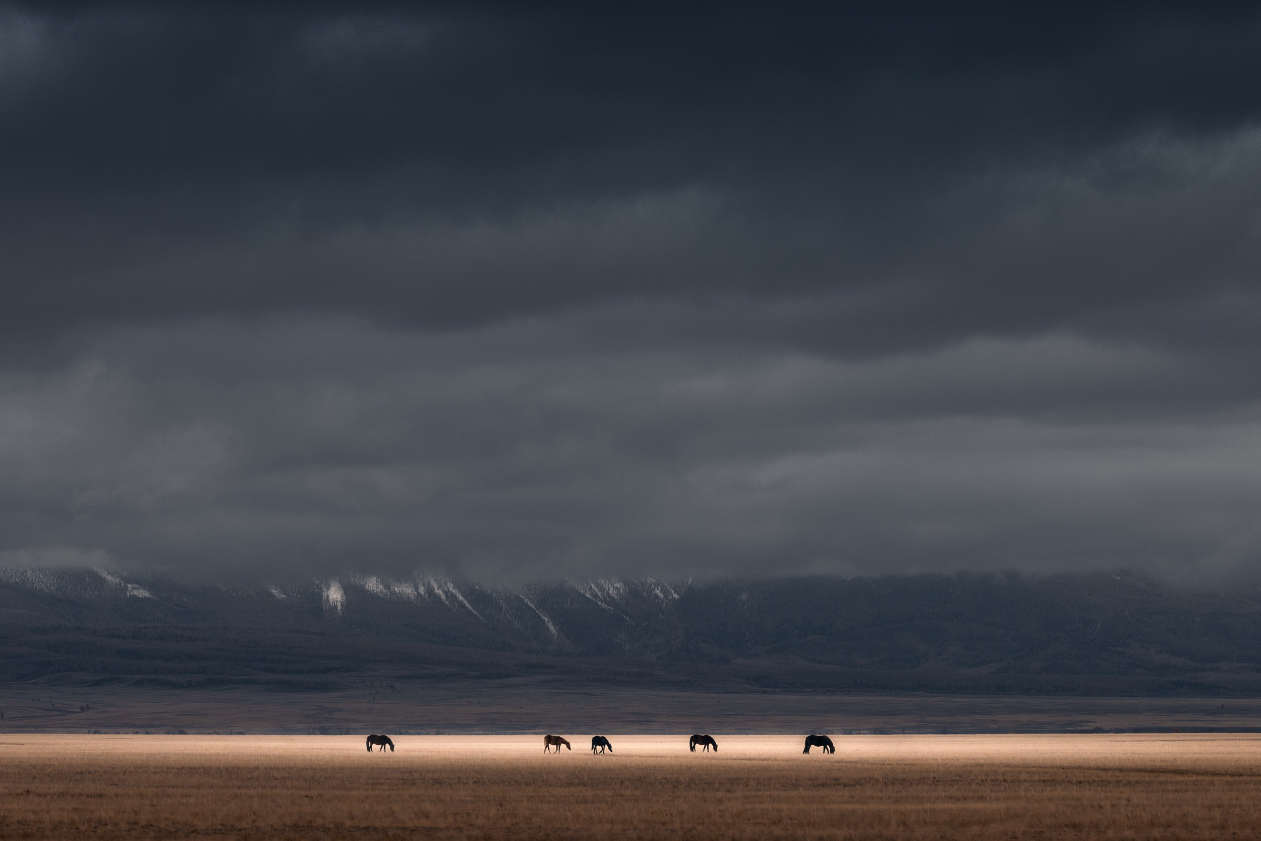 Пейзаж • Landscape. Елена Ивановой • Профессиональный фотограф