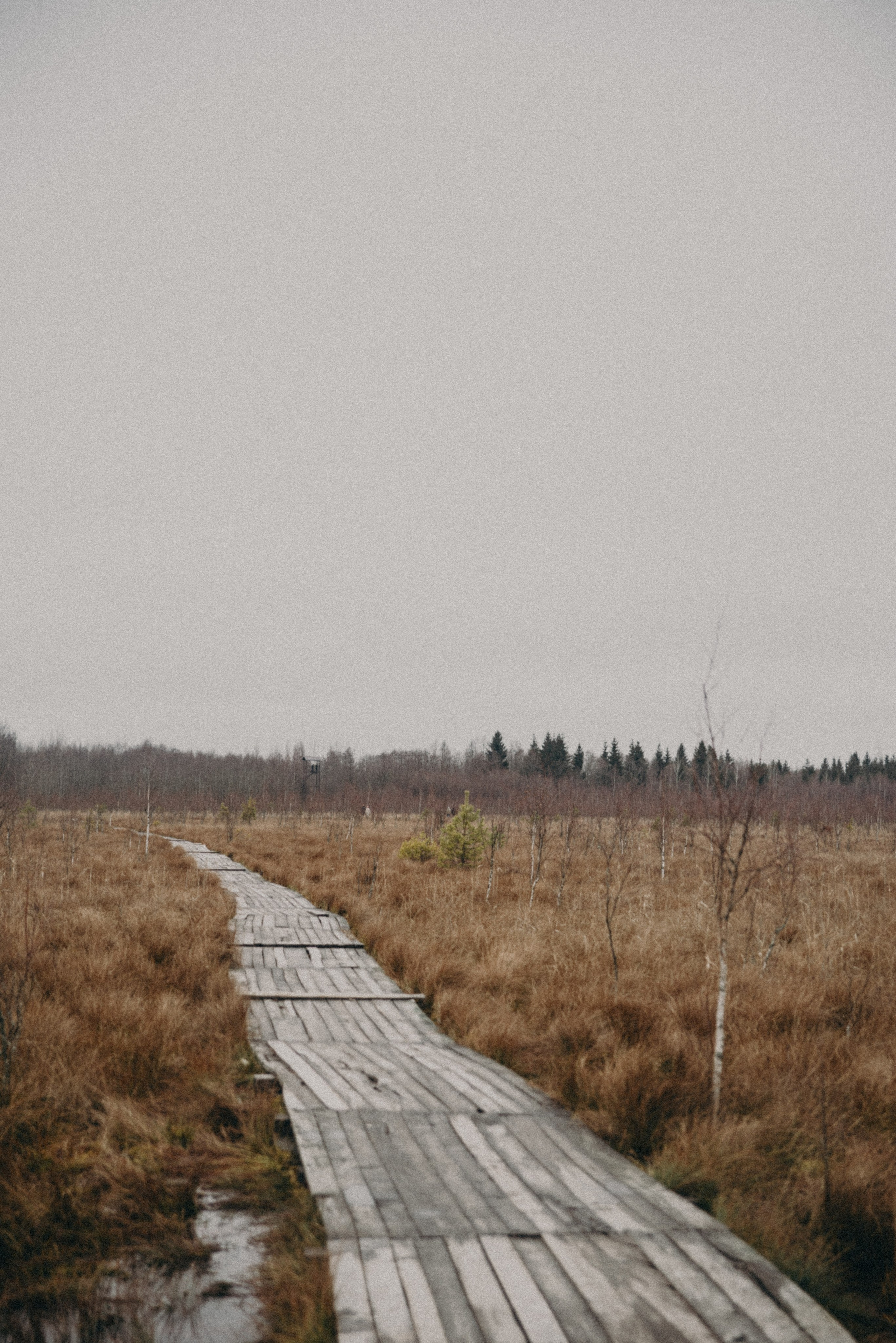 Ельня, Беларусь. Anita_photo