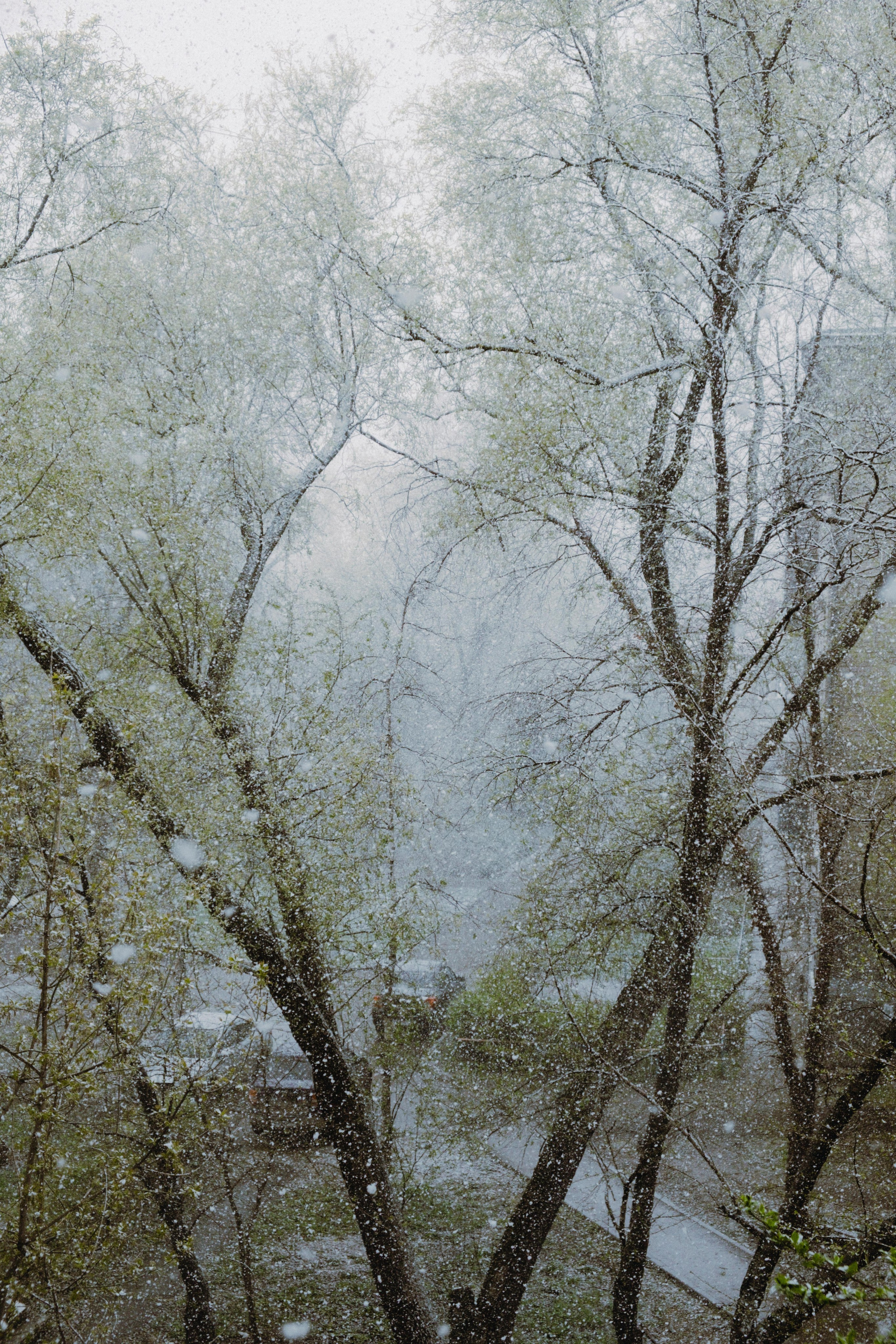 Замечательная повседневность. Контент-фотограф и видеограф в Перми