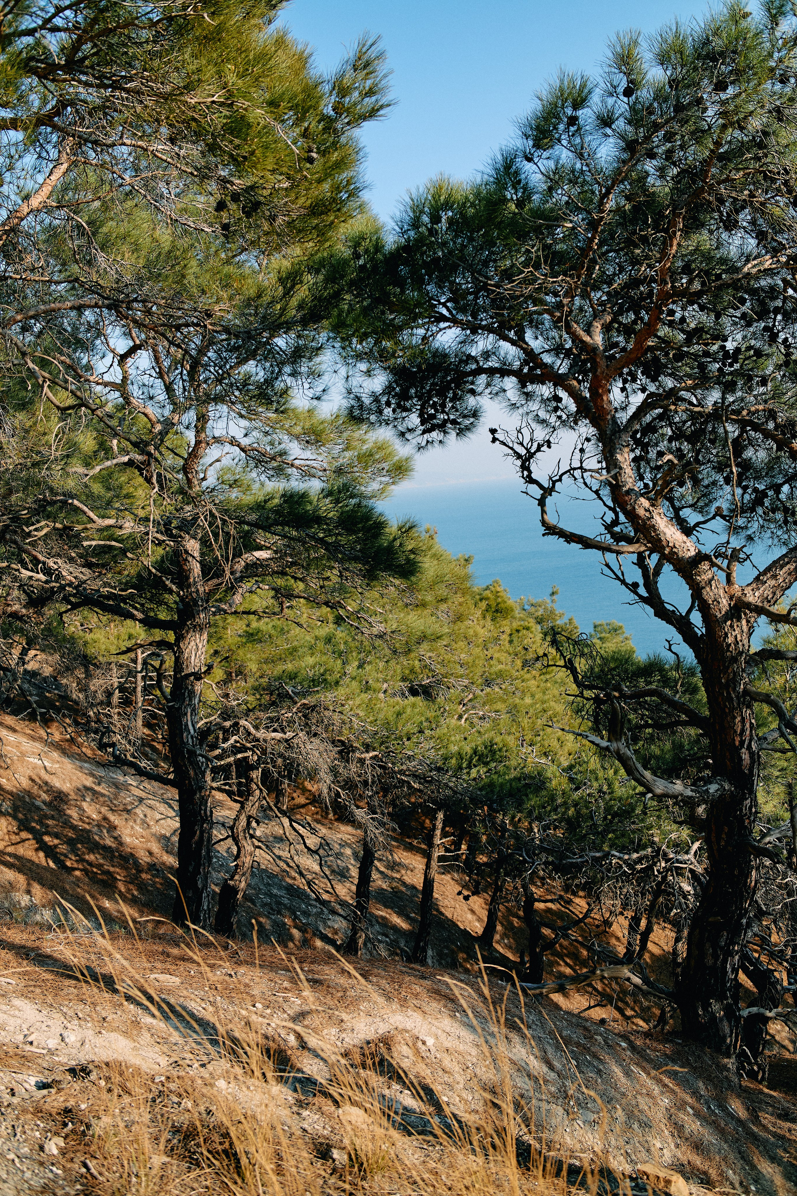 Юг России. Профессиональный Фотограф во Владимире, в Москве и в Суздале — Полина Романычева