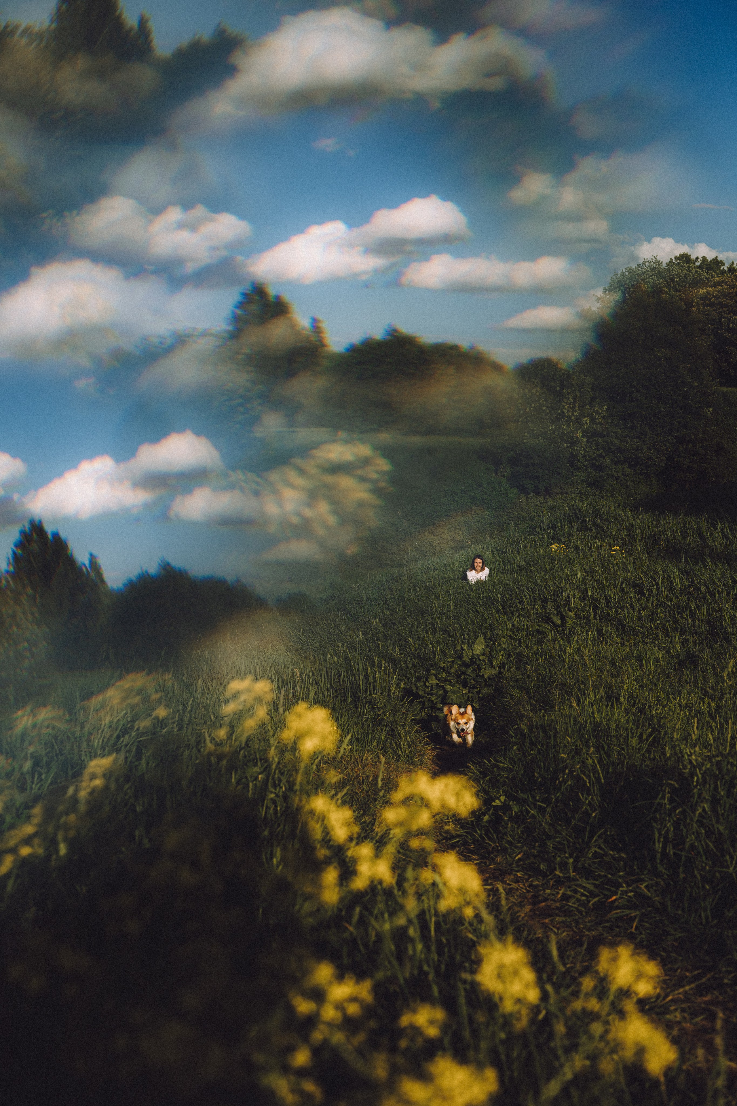 Вирджик и его семья