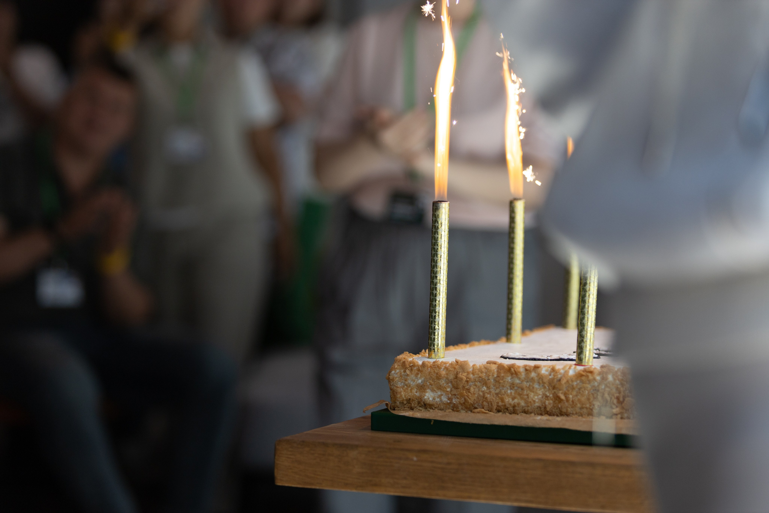 ЭФКО. СЛЁТ ЛИДЕРОВ РАБОЧЕГО АКТИВА. ДЕНЬ 3. Репортажный фотограф Анапа