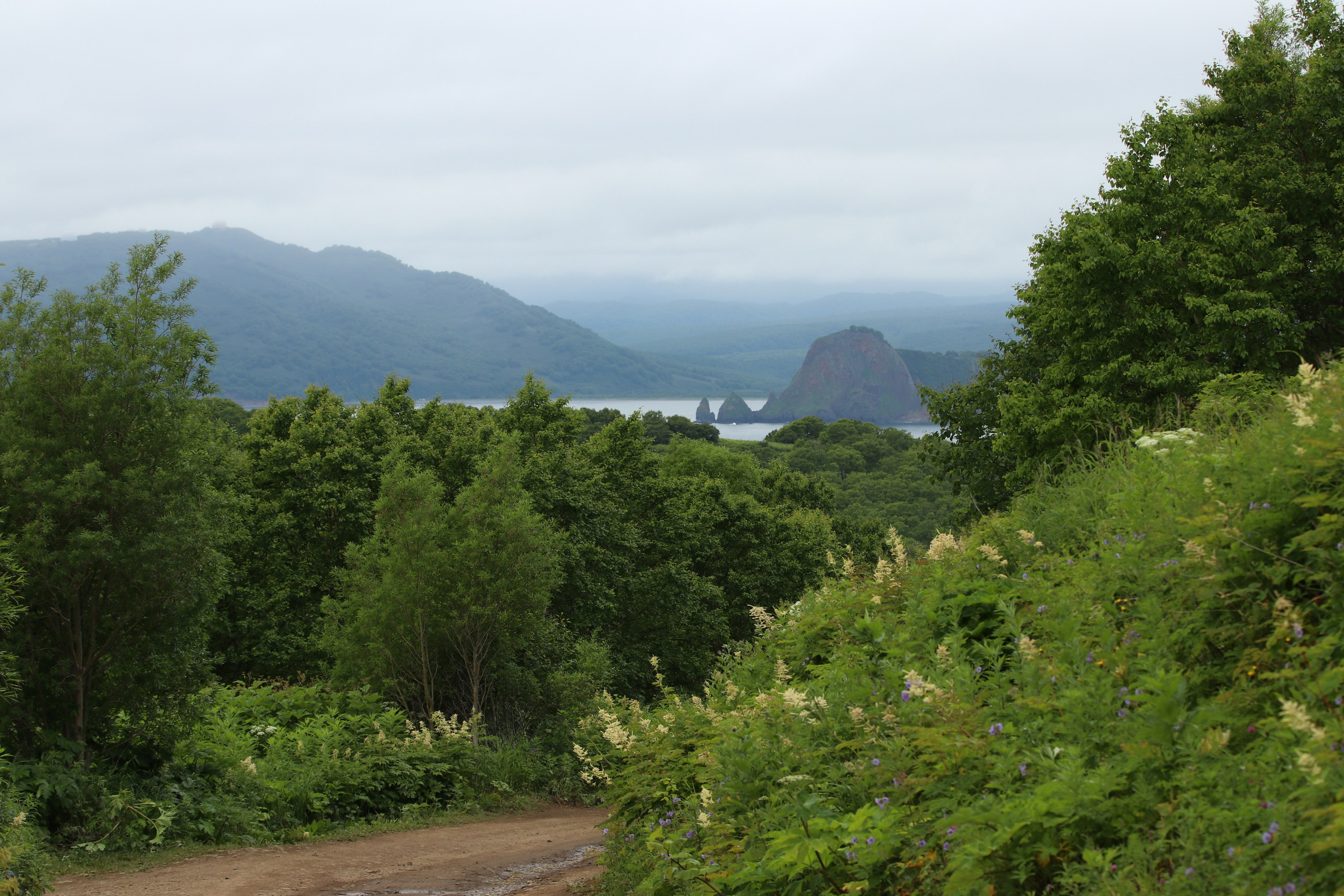 Камчатка и о. Парамушир. Июль 2024. Путешественник-фотограф из Санкт-Петербурга Татьяна Свистулина