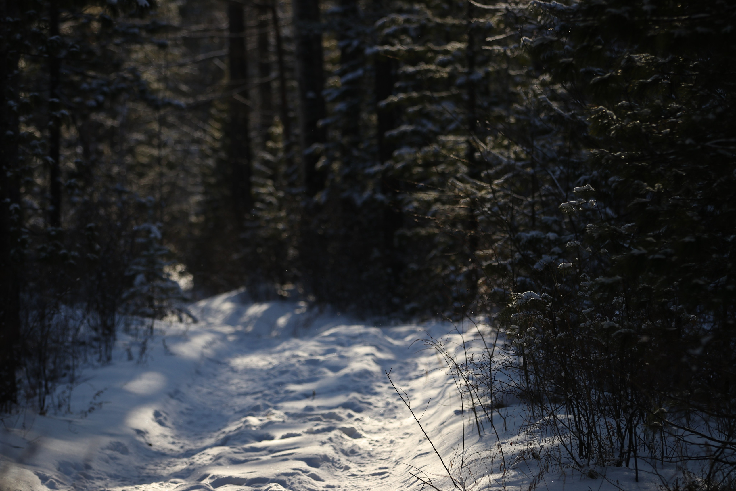 Аршан. Январь 2024. Путешественник-фотограф из Санкт-Петербурга Татьяна Свистулина