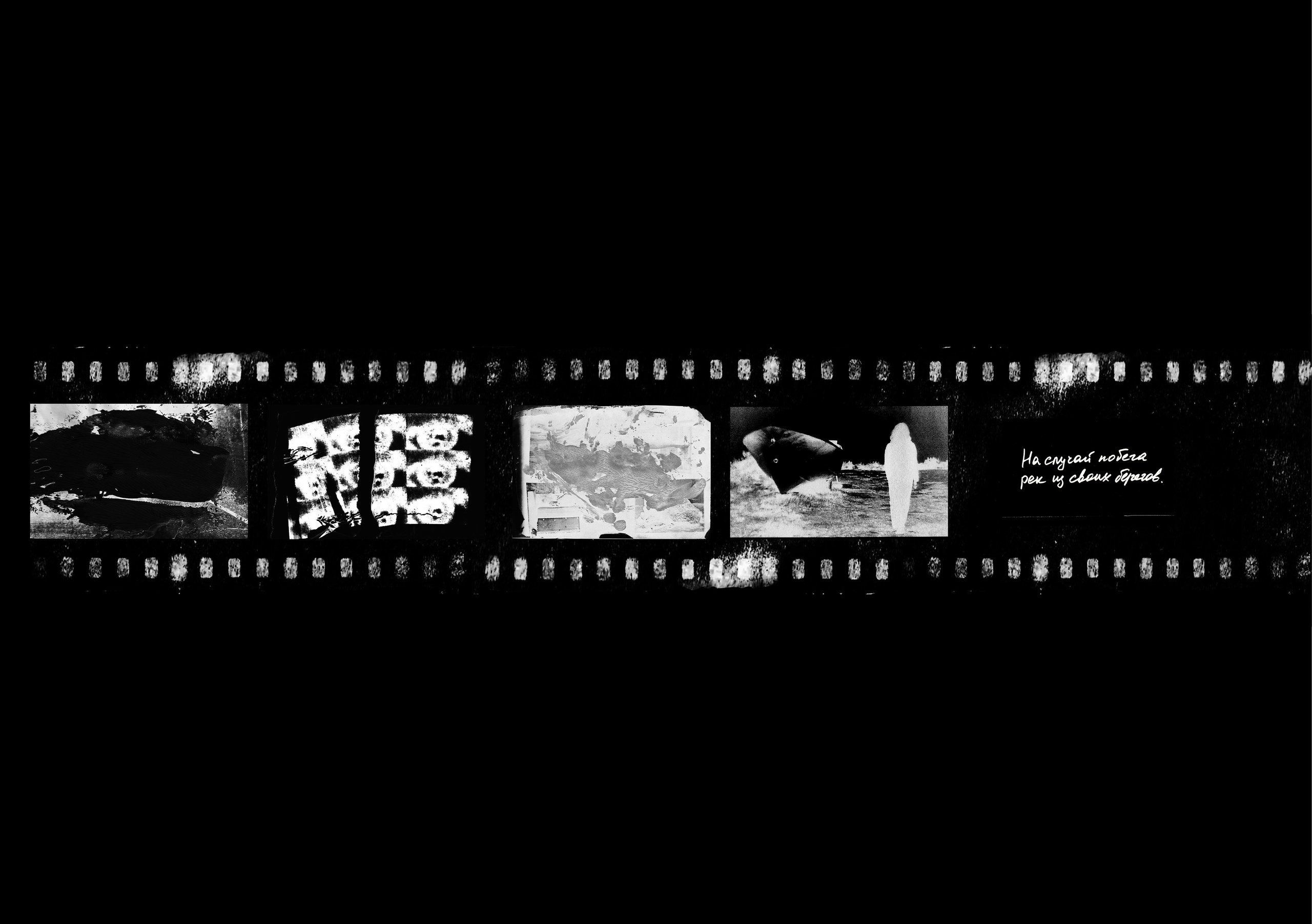 Отраженный свет. Катерина Эделева