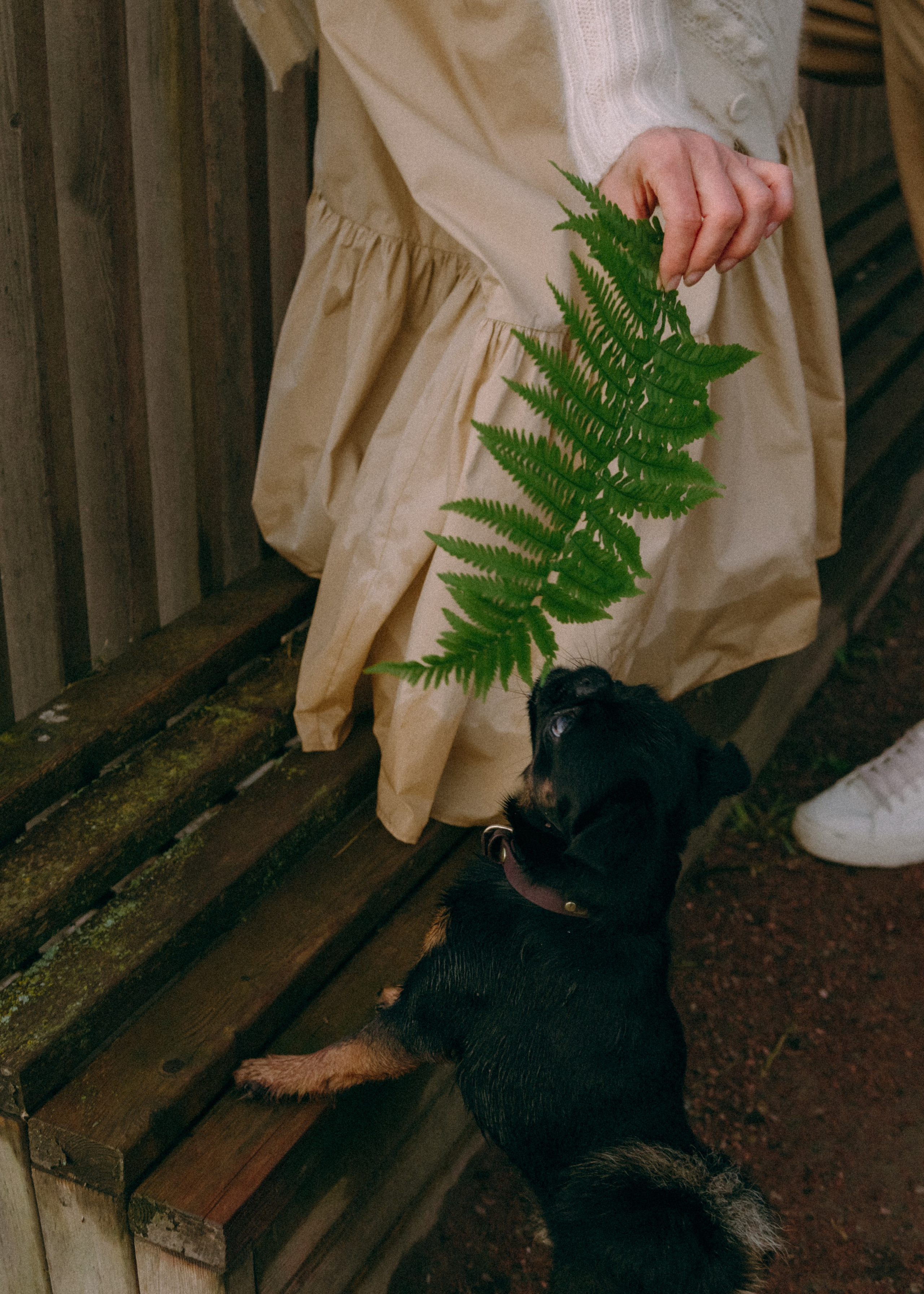 Оксана, Кирилл и Кеша. Фотограф-анималист Ксения Воробьева, Москва