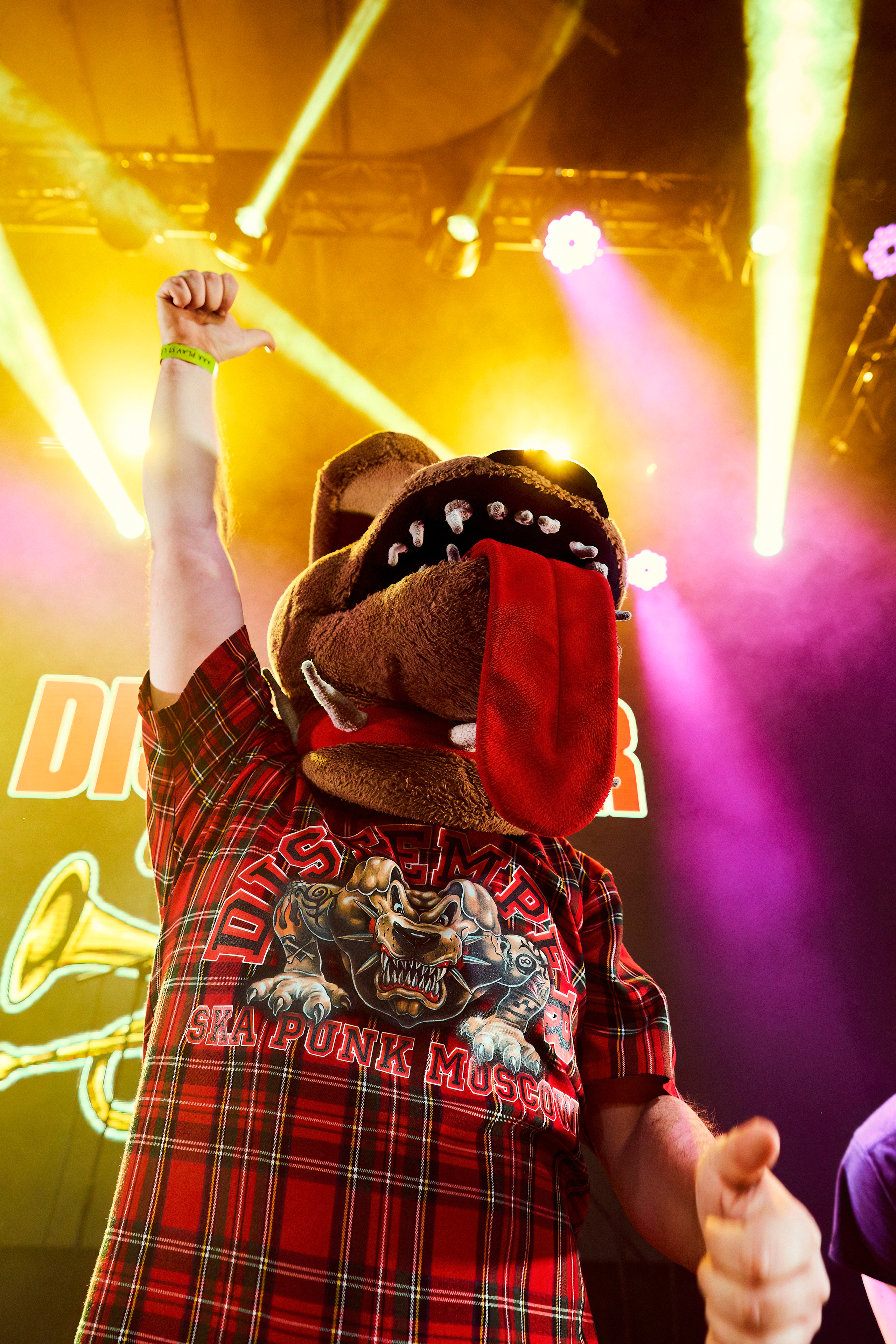 DISTEMPER / УРБАН / 27.01.2023. Ekhovanov | фото- видеосъемка