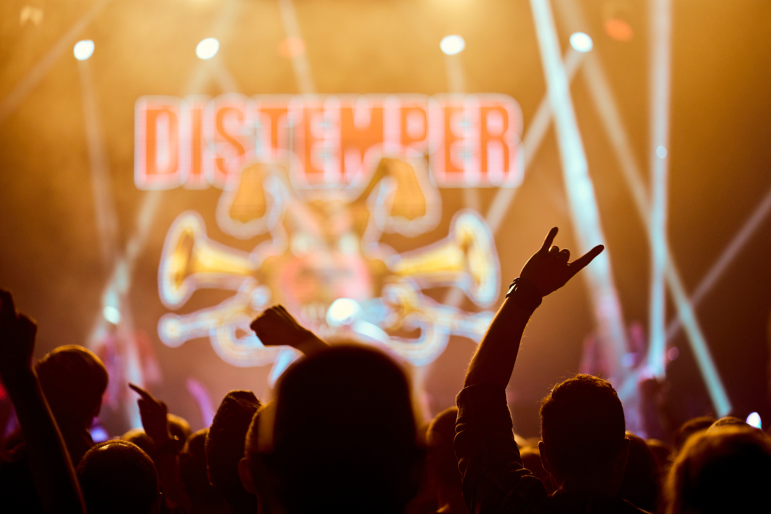 DISTEMPER / УРБАН / 27.01.2023. Ekhovanov | фото- видеосъемка