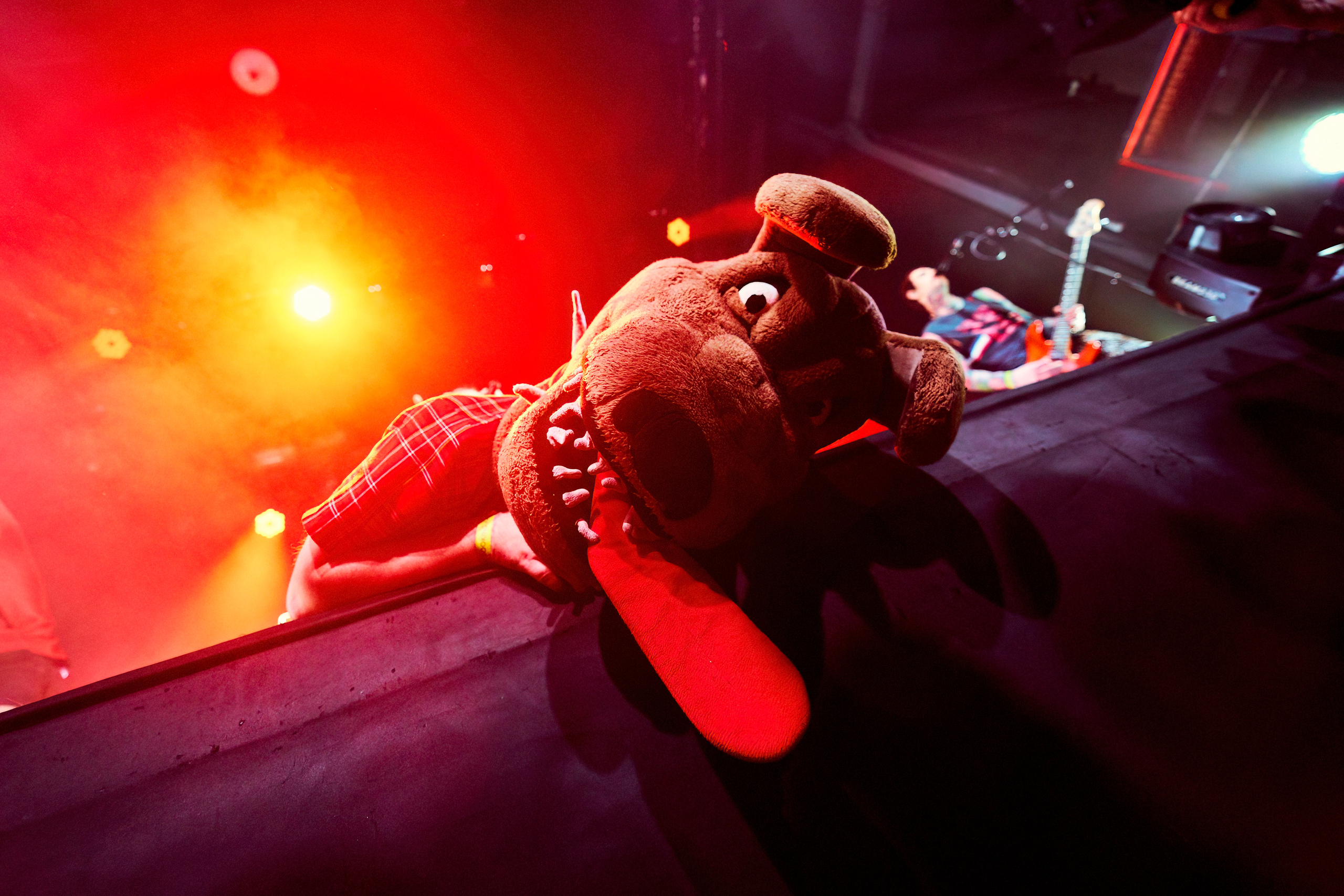 DISTEMPER / УРБАН / 27.01.2023. Ekhovanov | фото- видеосъемка