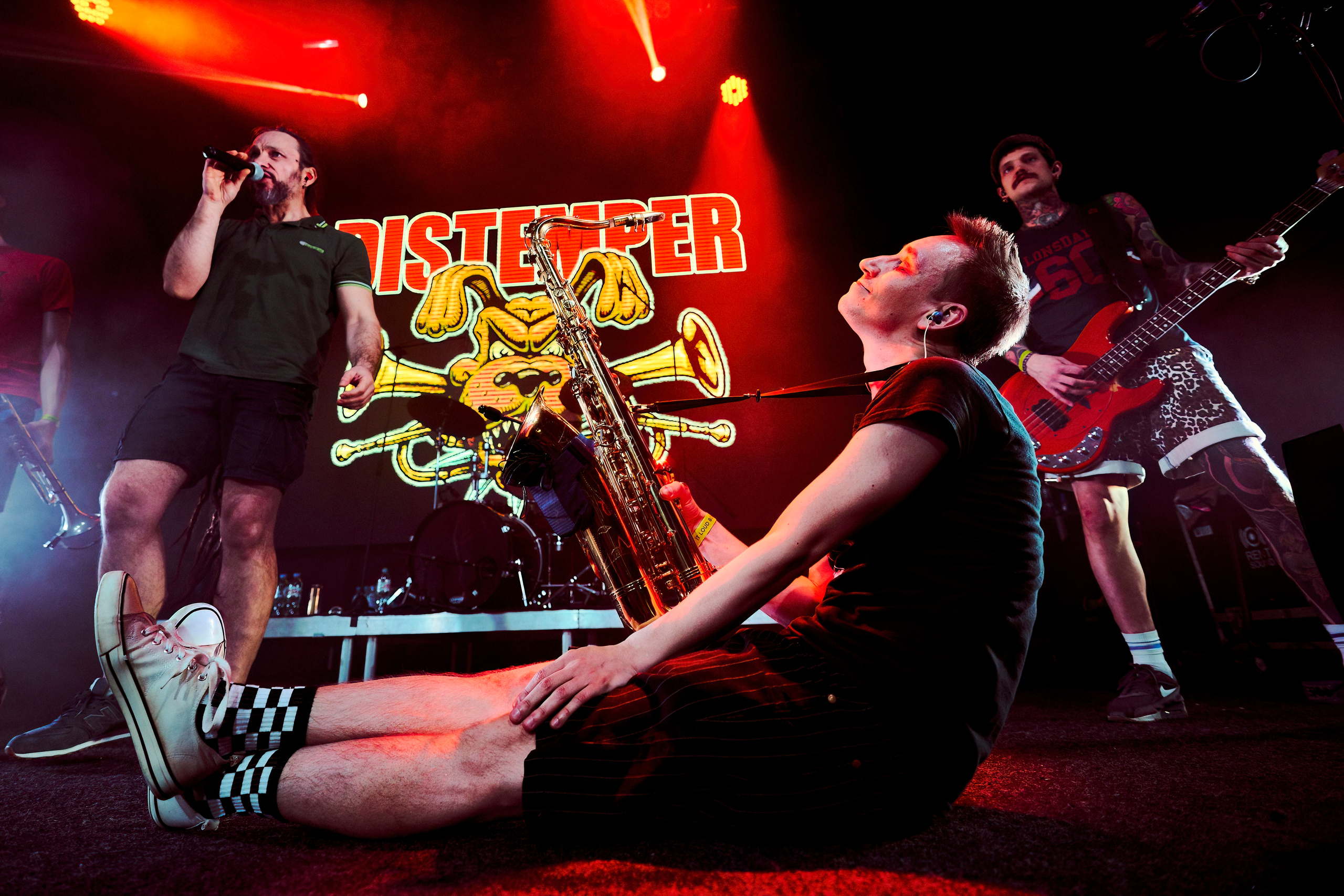 DISTEMPER / УРБАН / 27.01.2023. Ekhovanov | фото- видеосъемка