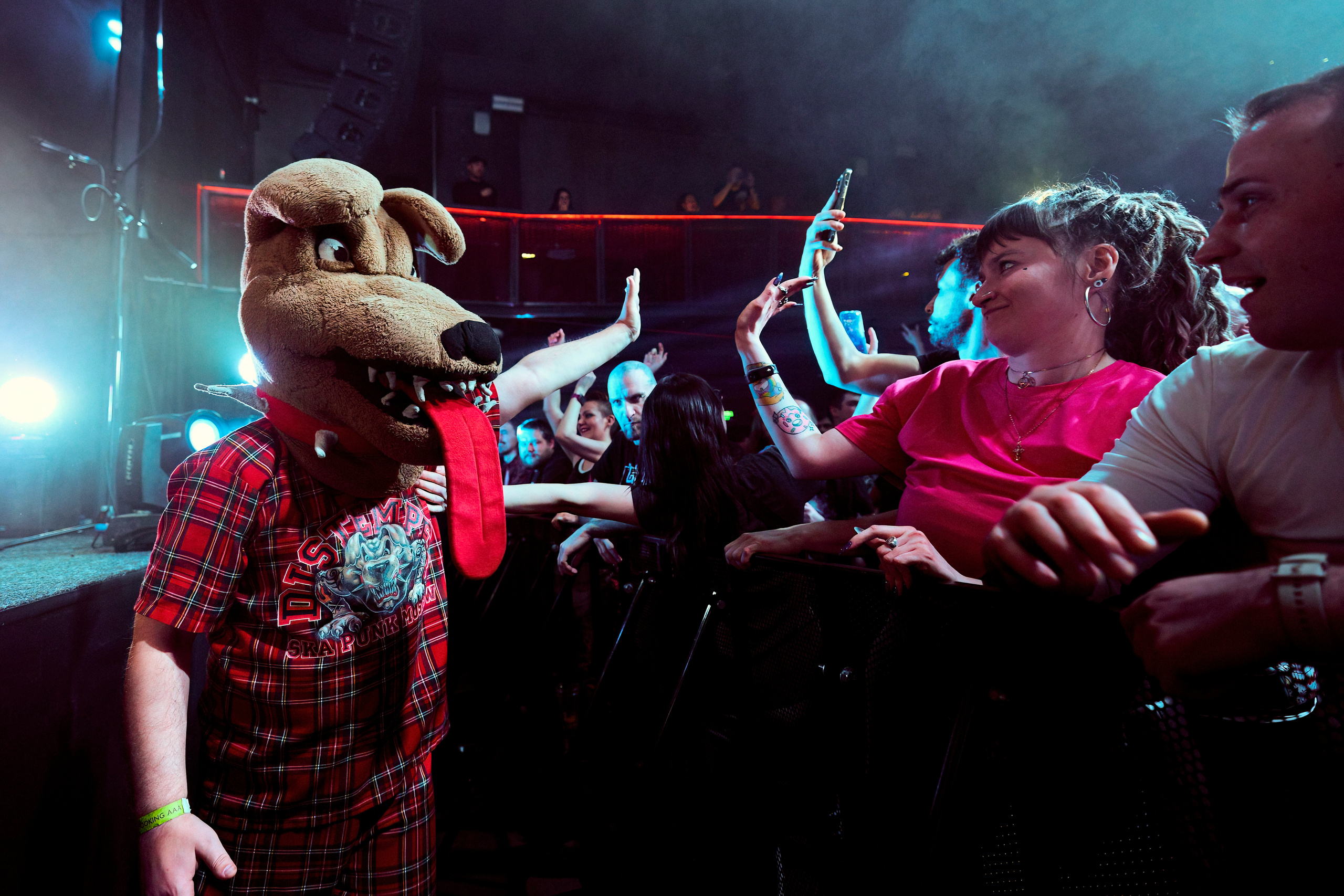 DISTEMPER / УРБАН / 27.01.2023. Ekhovanov | фото- видеосъемка