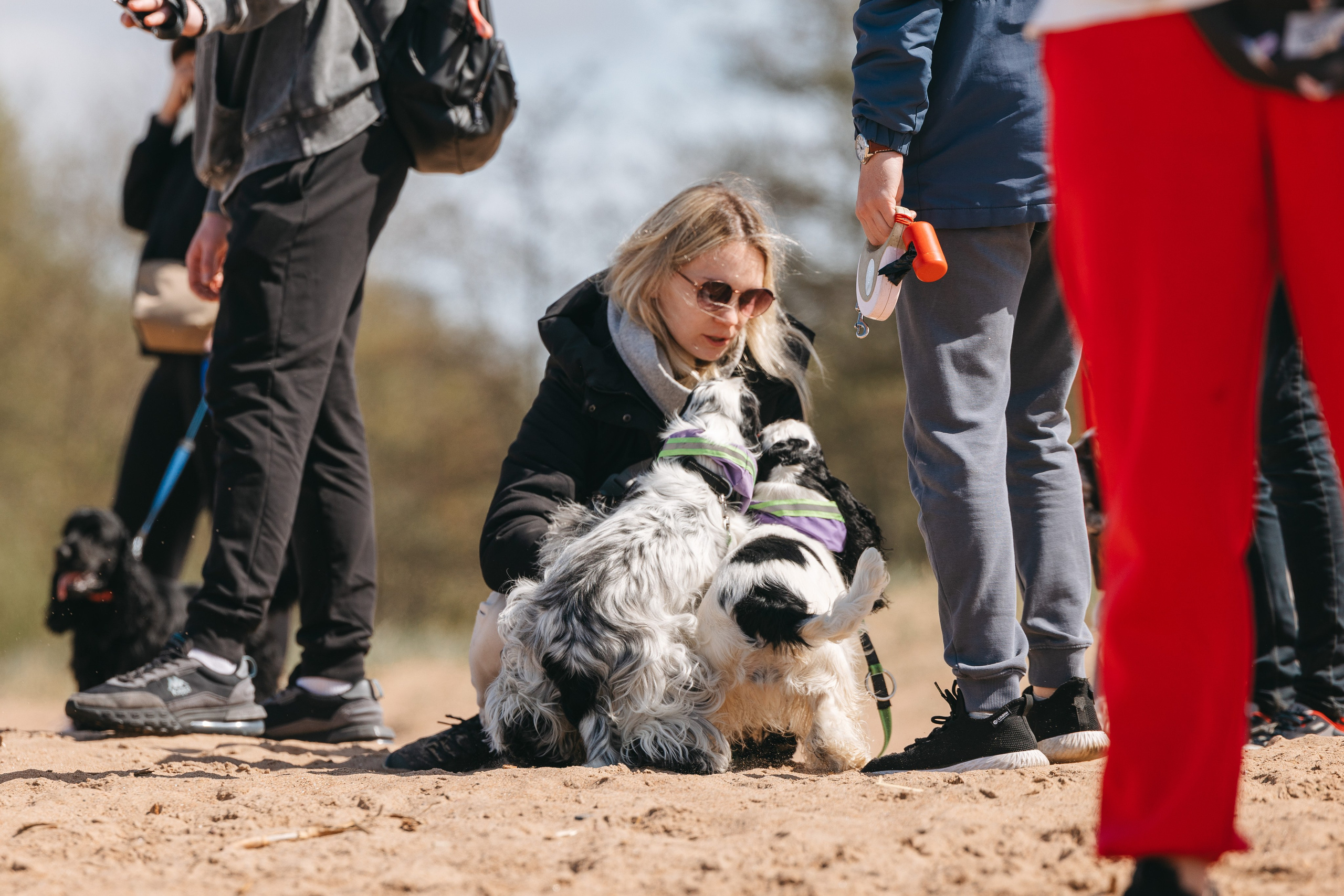 Спанимания. Фотограф анималист Осипчикова Мария