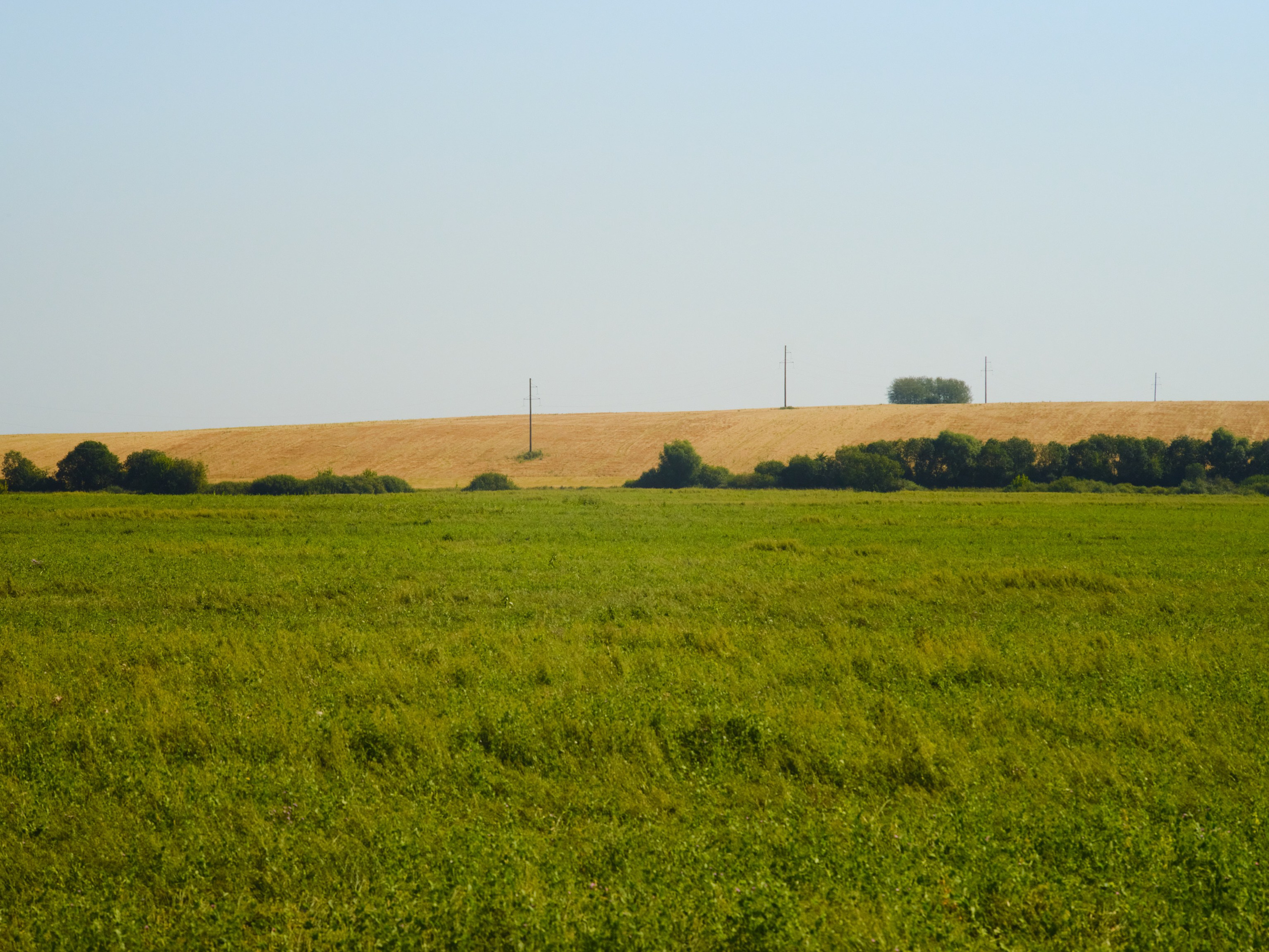 Фотограф Юлия Глазкова
