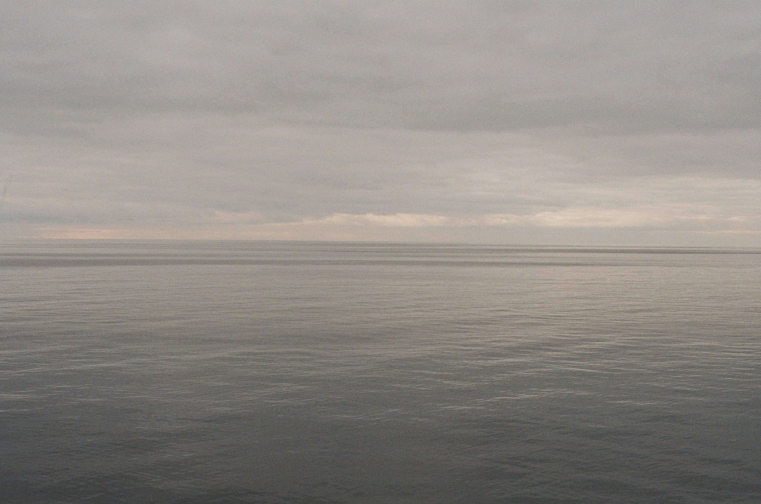 Фотосессия на пленку, свадьба, портреты, ивенты в Москве. Кизя Мисриева — фотограф: плёнка, цифра. Москва и не только