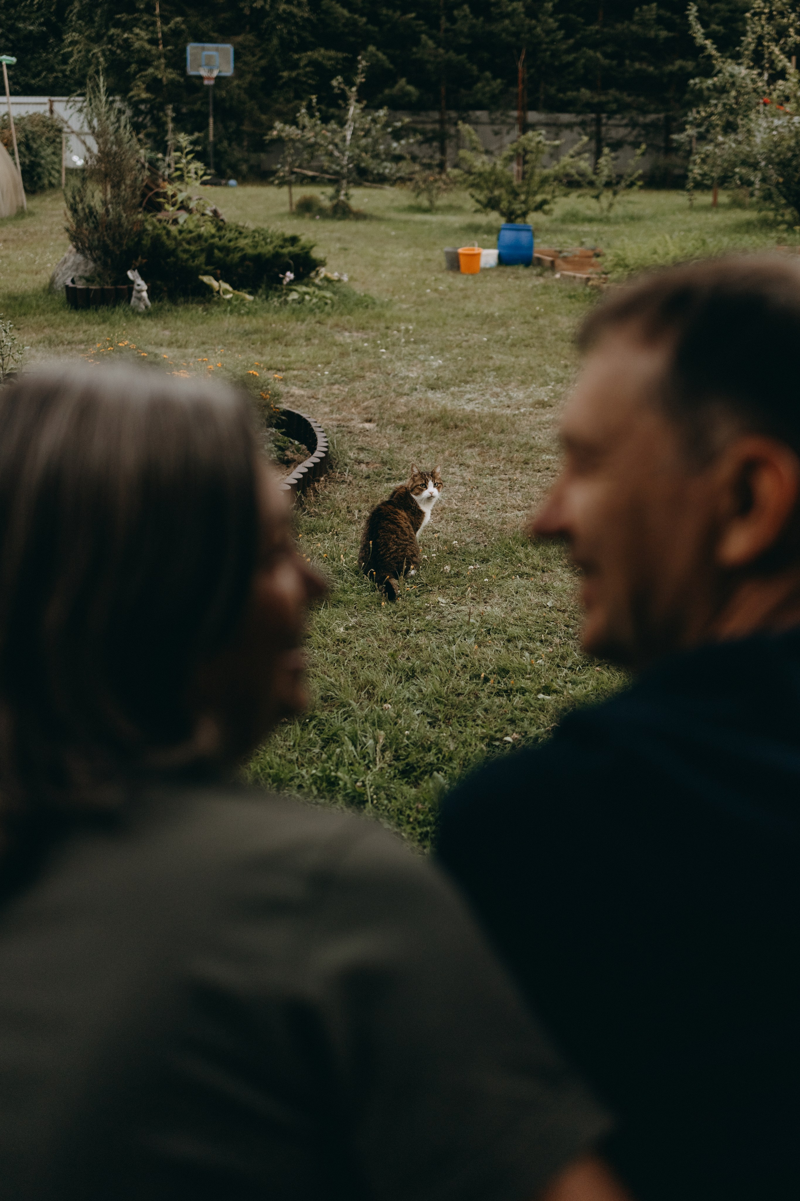 Дом у реки. Фотограф — Анималист | Санкт-Петербург