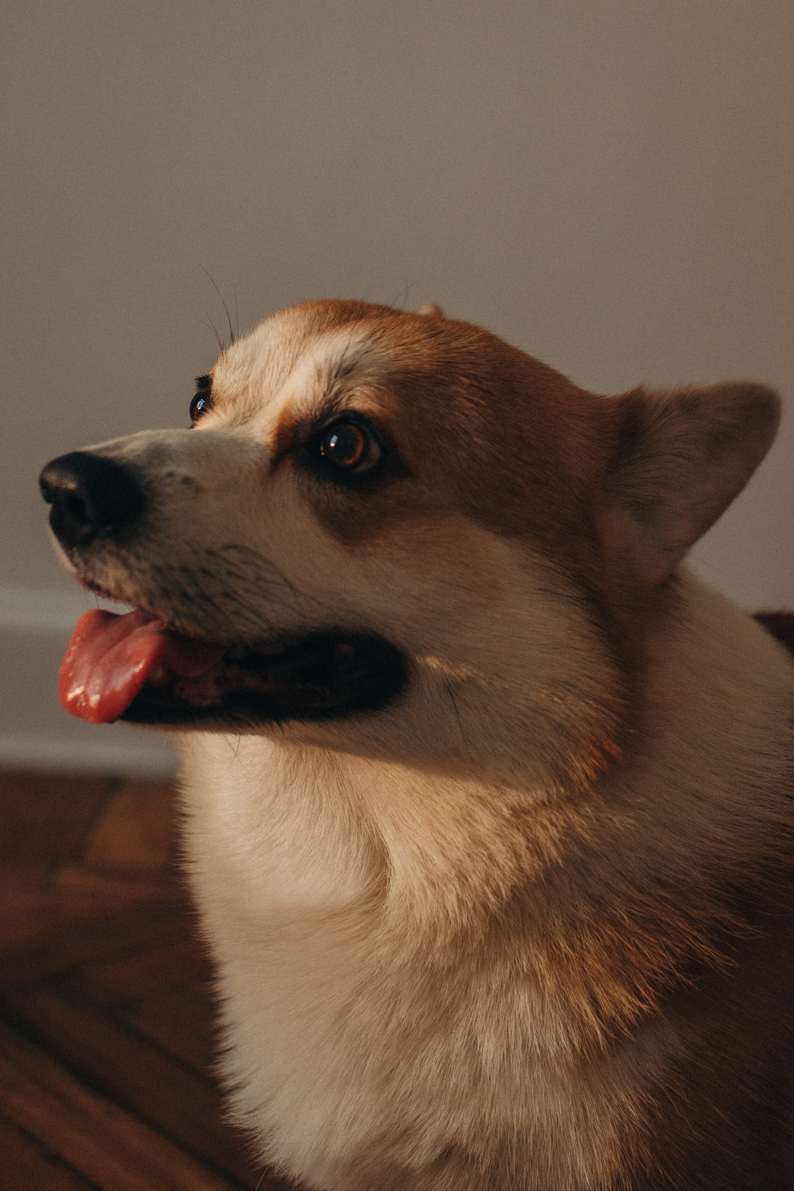 Малышка Василиса. Семейный фотограф в Москве
