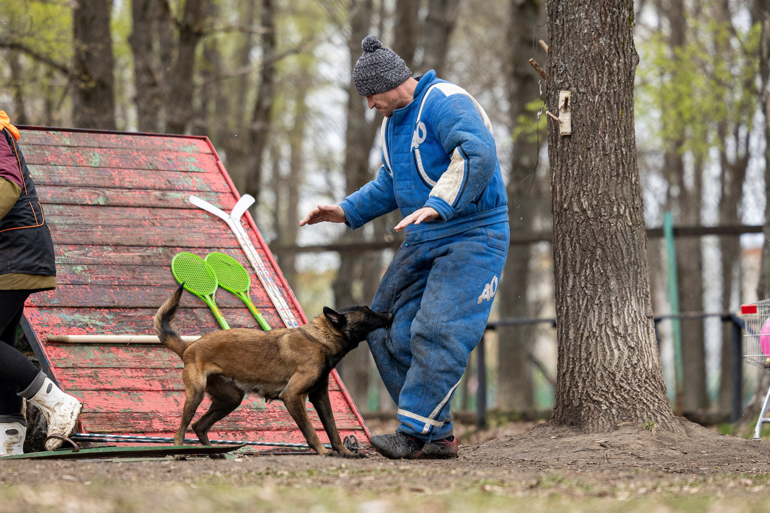 Квалификационные состязания по мондьорингу г. Вологда 11.05.24. Фотограф-анималист Анна Маринич