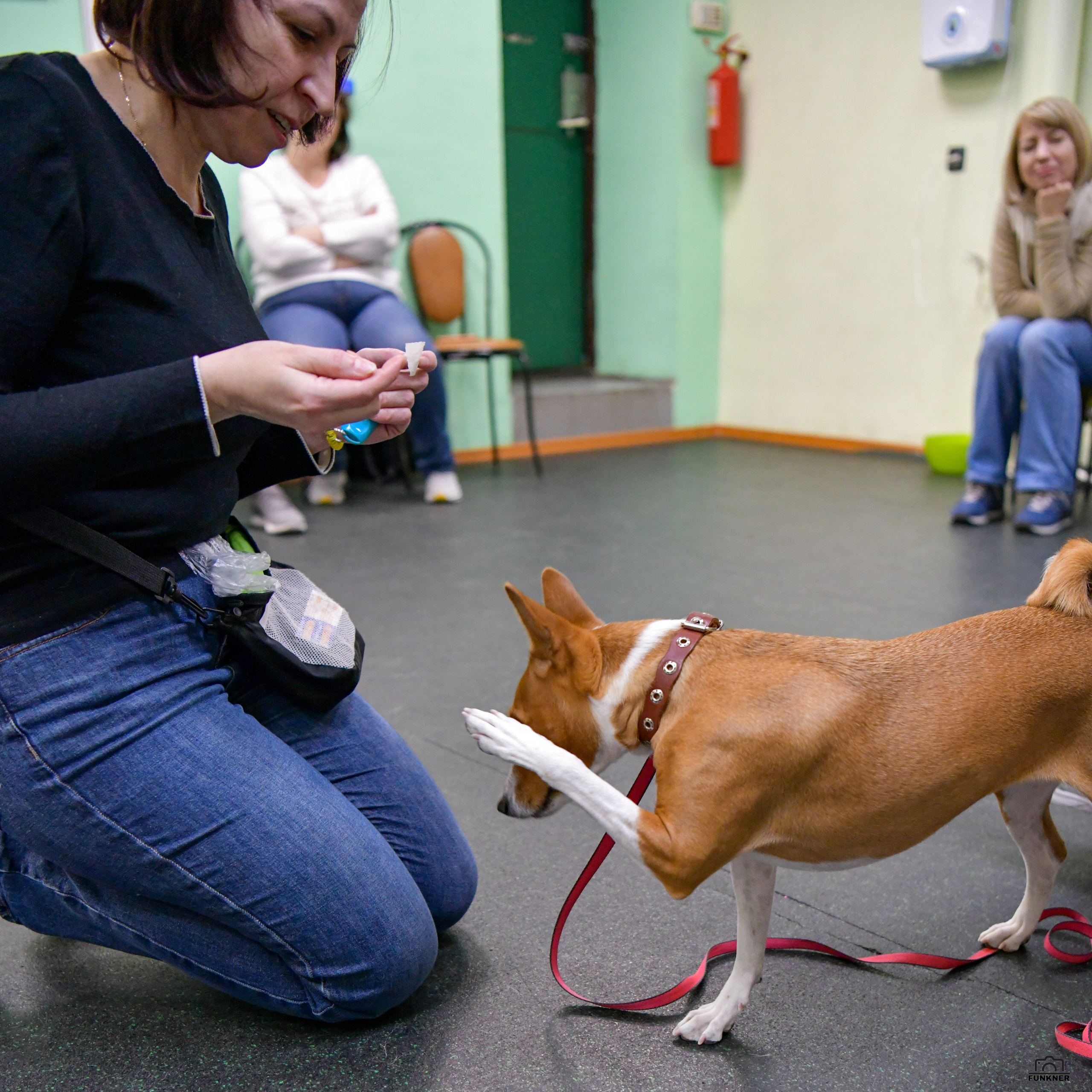 Кинологический клуб «Бодрый хвост». Свой взгляд через объектив