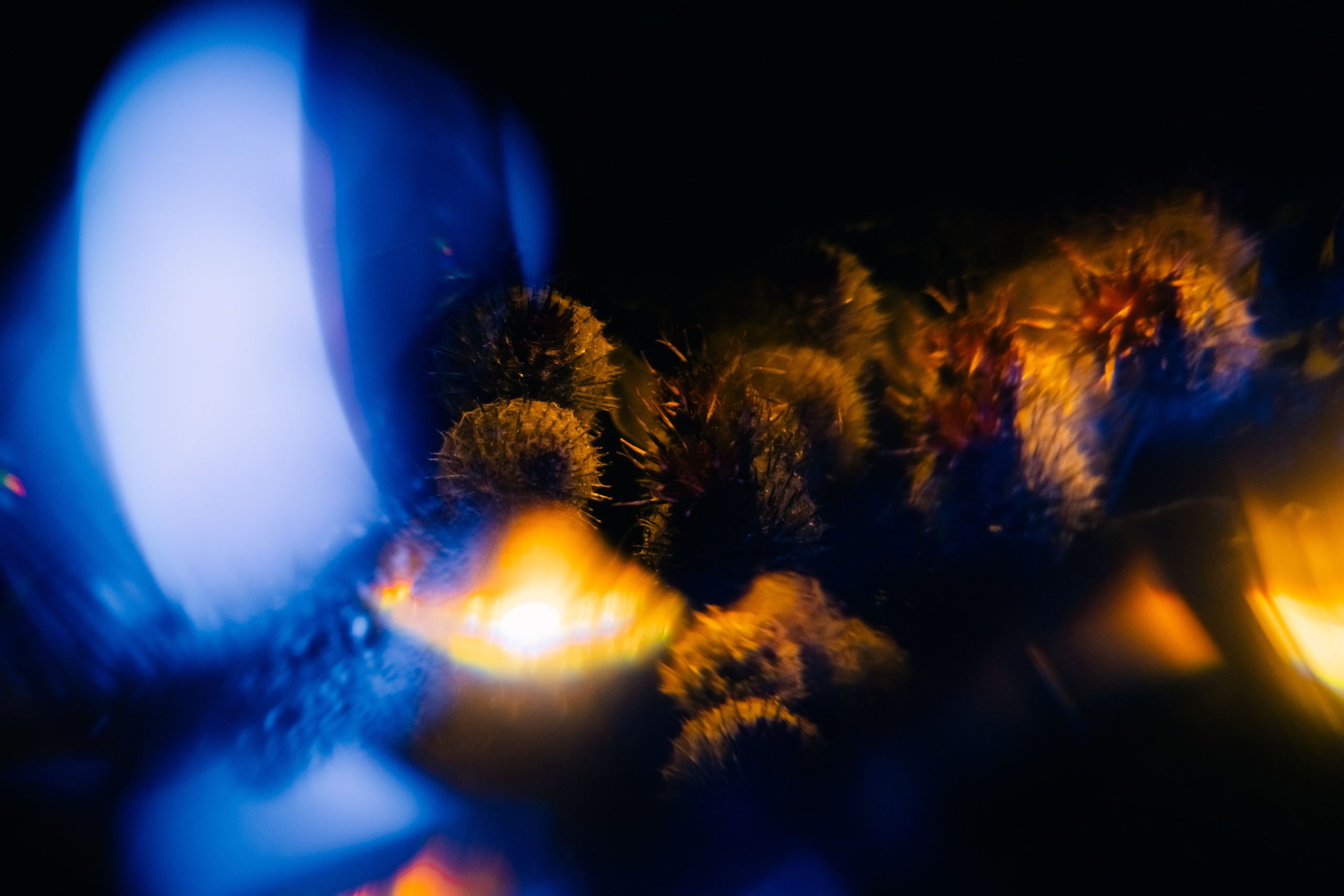 Дневник. Фотограф из Хакасии Элина Кичеева