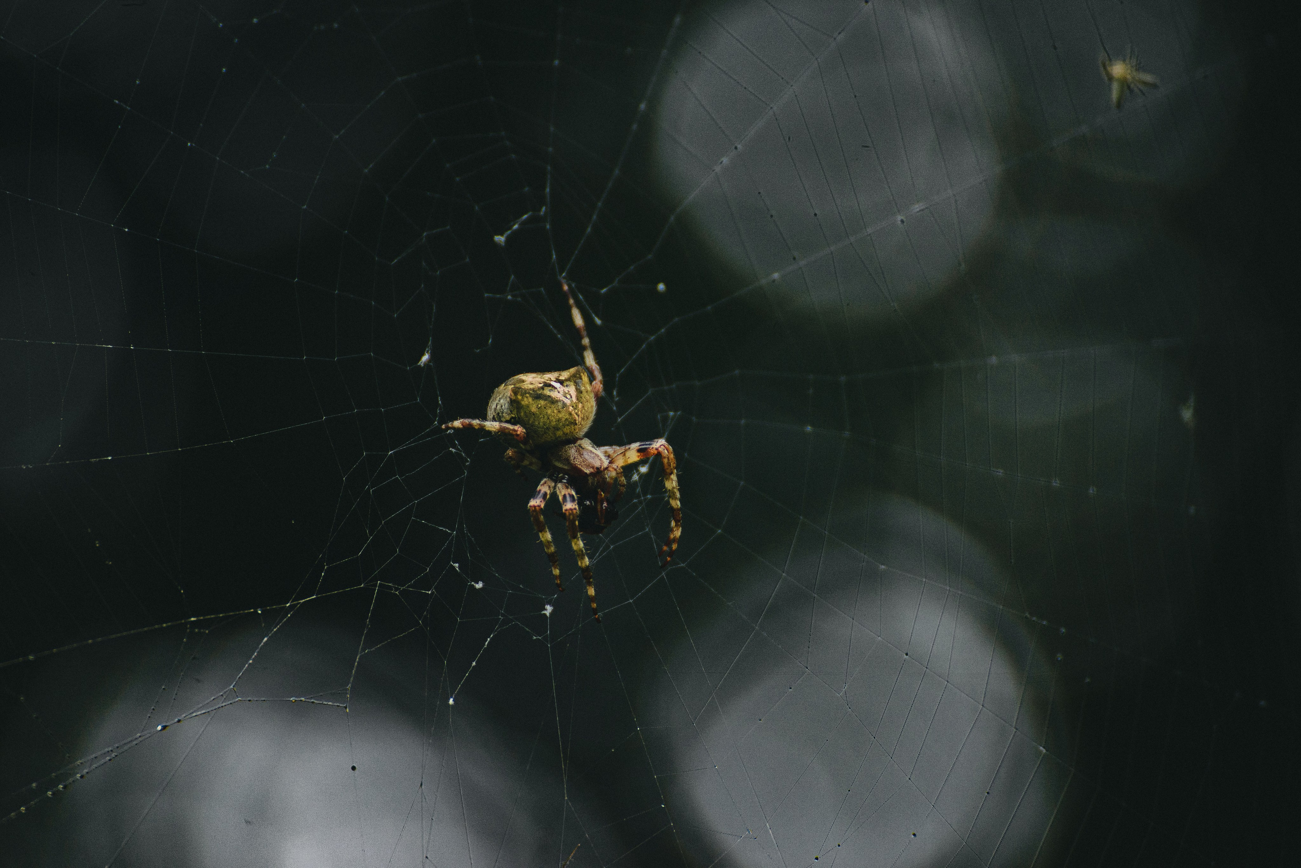 Фотопленэр на болоте. Фотообъединение Самарского областного отделения Союза журналистов России